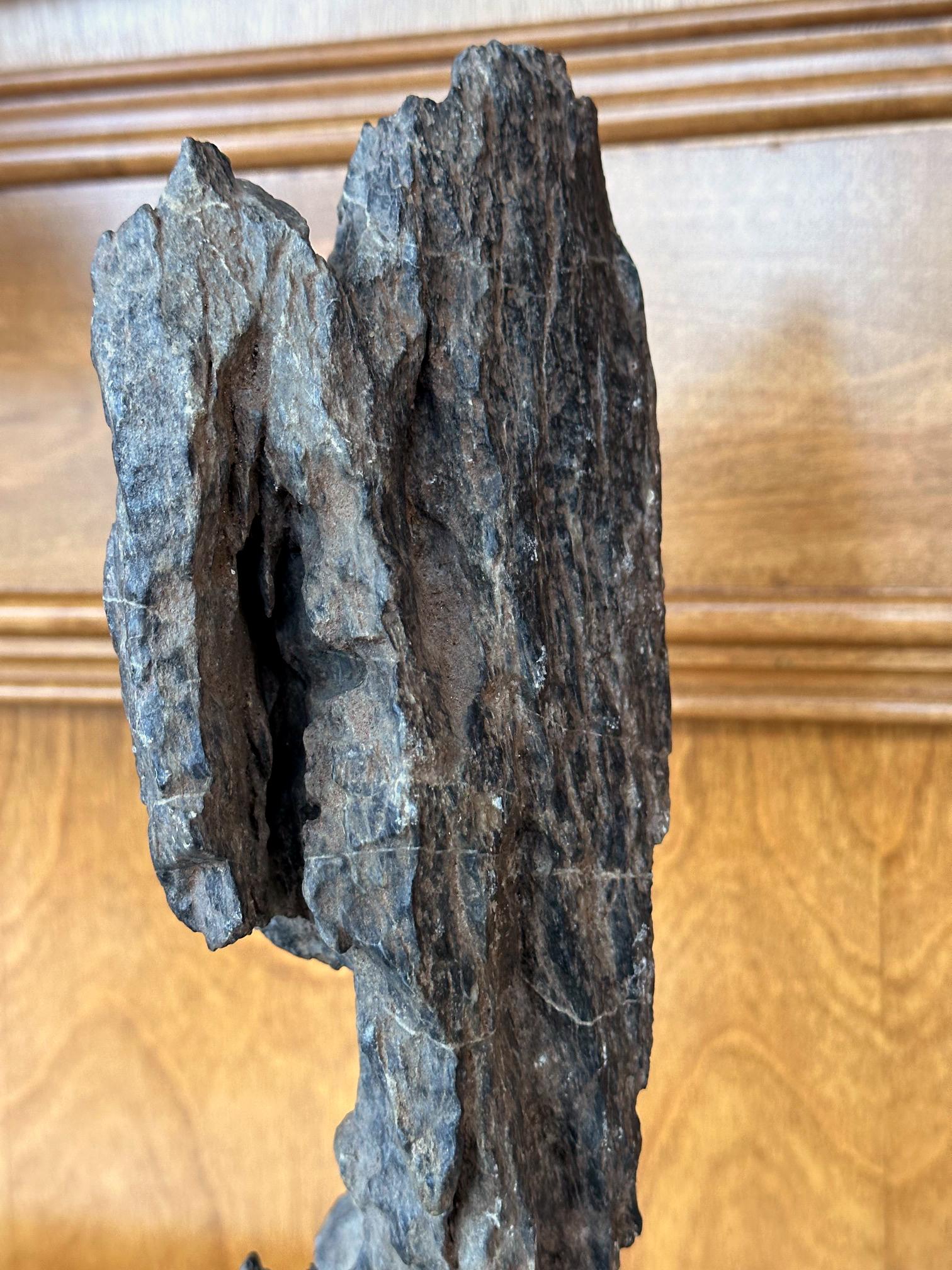 Antike chinesische Gelehrte Rock Yingde Stein auf Display Stand im Angebot 8