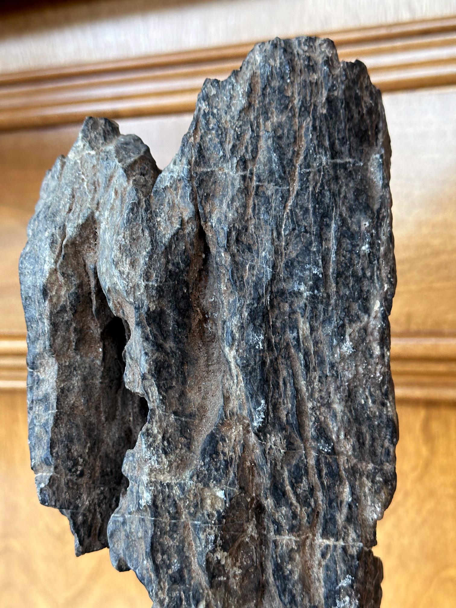 Antike chinesische Gelehrte Rock Yingde Stein auf Display Stand im Angebot 10