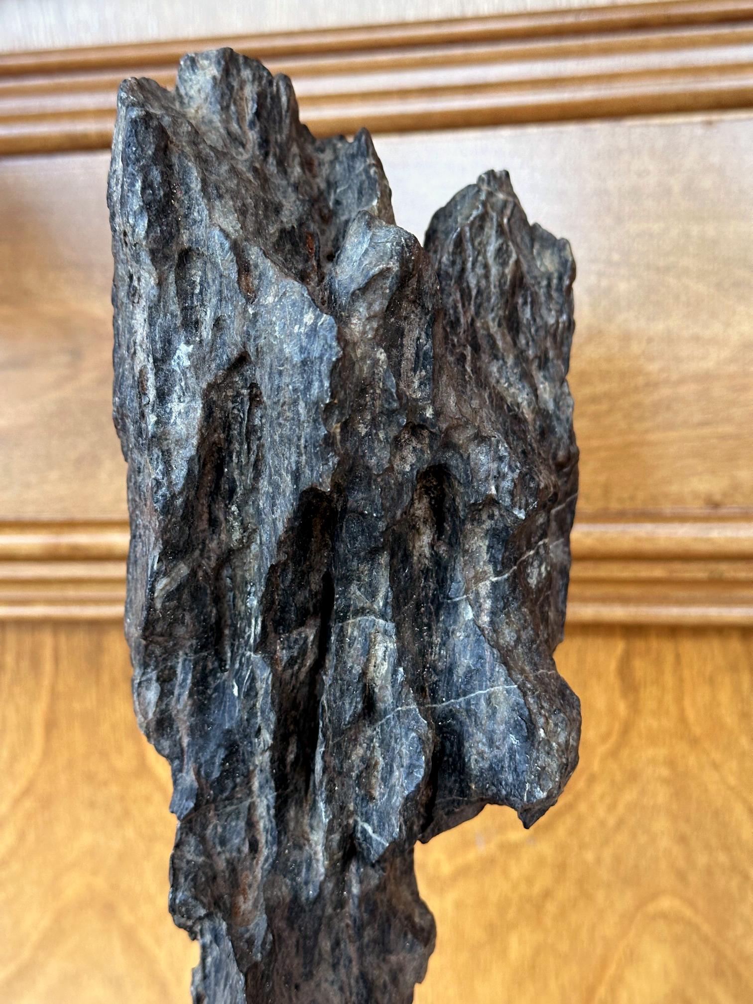 Antike chinesische Gelehrte Rock Yingde Stein auf Display Stand im Angebot 11