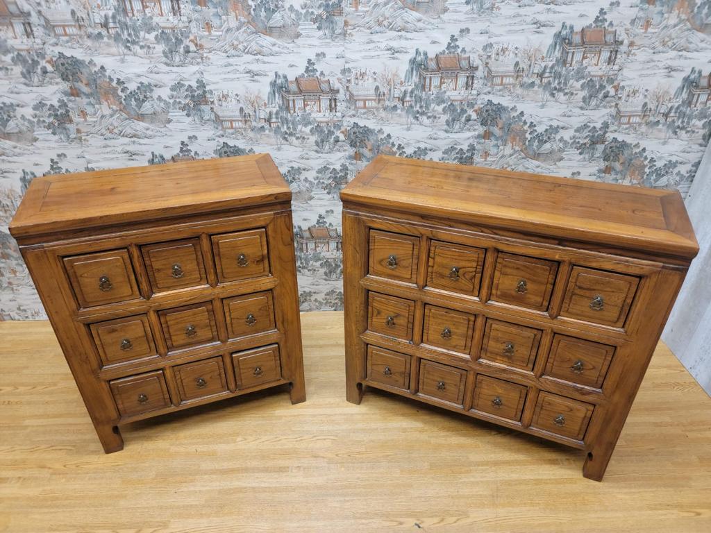 Antique Chinese Shanxi Province Elmwood Apothecary Medicine Chest, Set of 2 For Sale 12