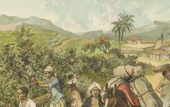 Antique Chromolithograph of 19th Century Coffee Cultivation, circa 1890