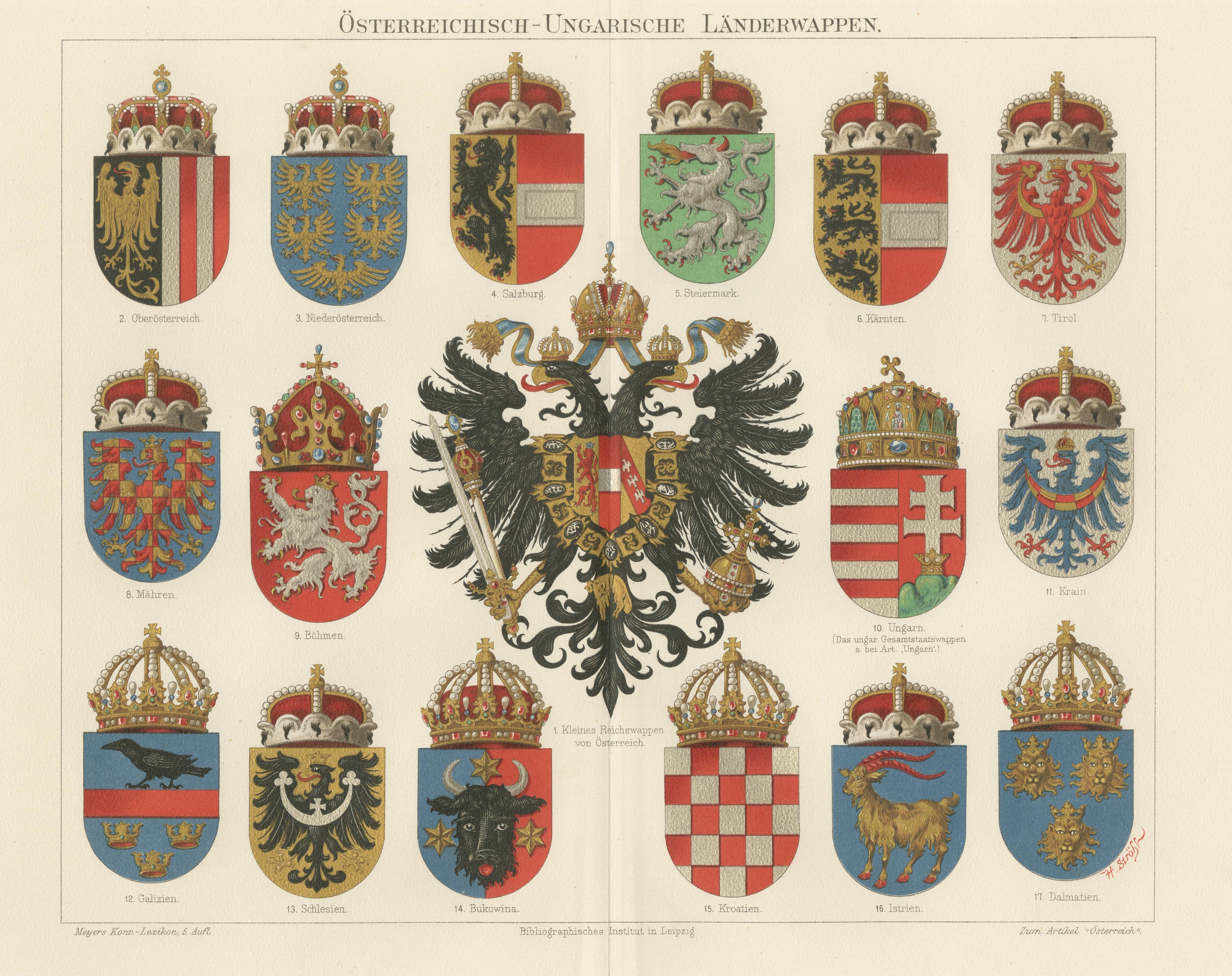 Antique Chromolithograph of Austro-Hungarian Coats of Arms In Good Condition For Sale In Langweer, NL