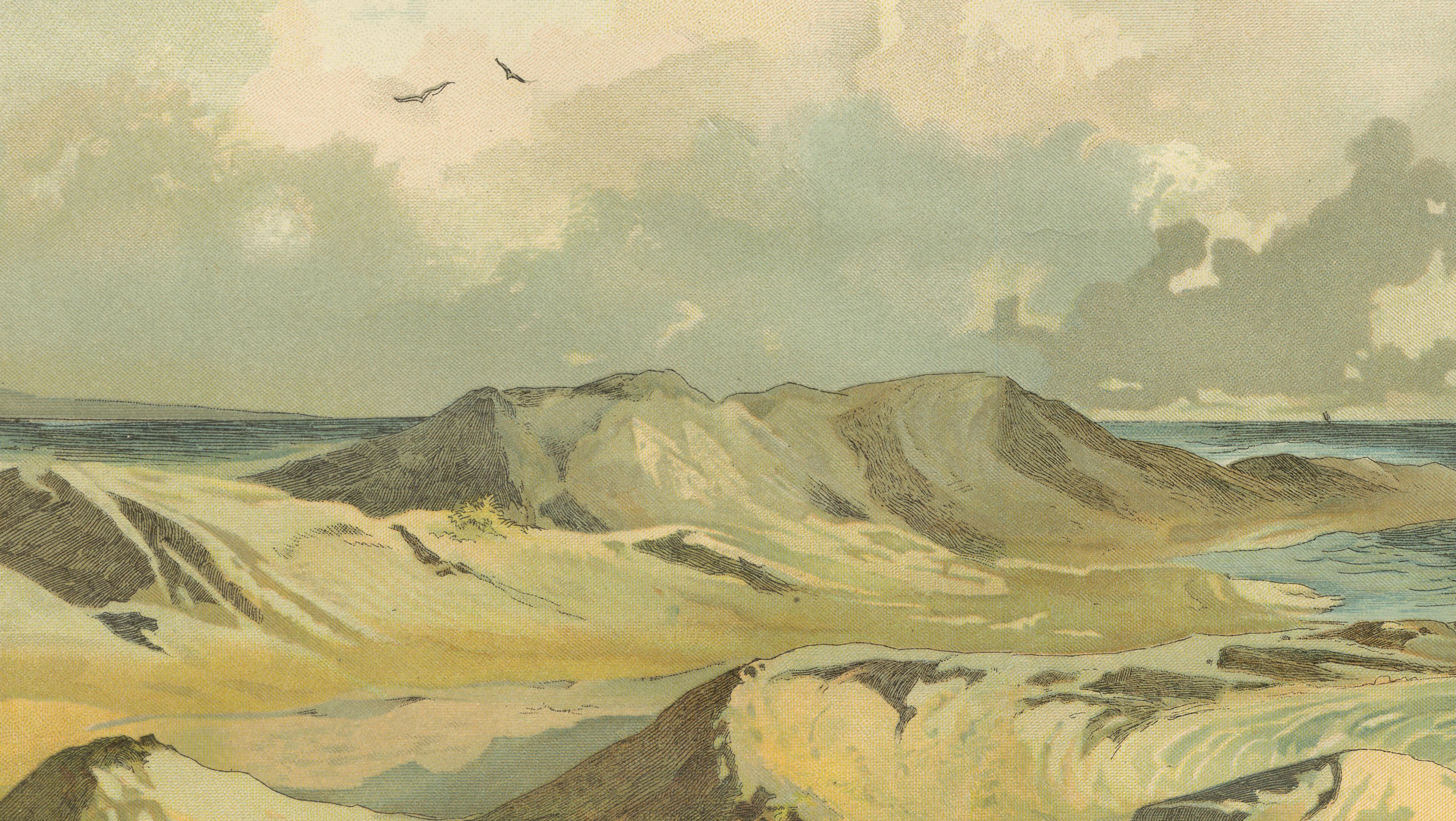 Paper Antique Chromolithograph of Coastal Dunes and North Sea Shoreline, ca. 1885 For Sale