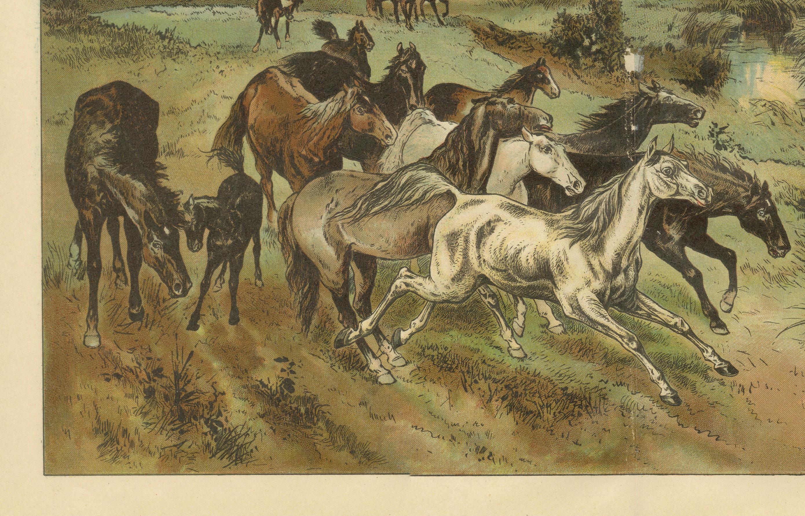 German Antique Chromolithograph of Hungarian Puszta with Horses and Herdsman, ca. 1890 For Sale