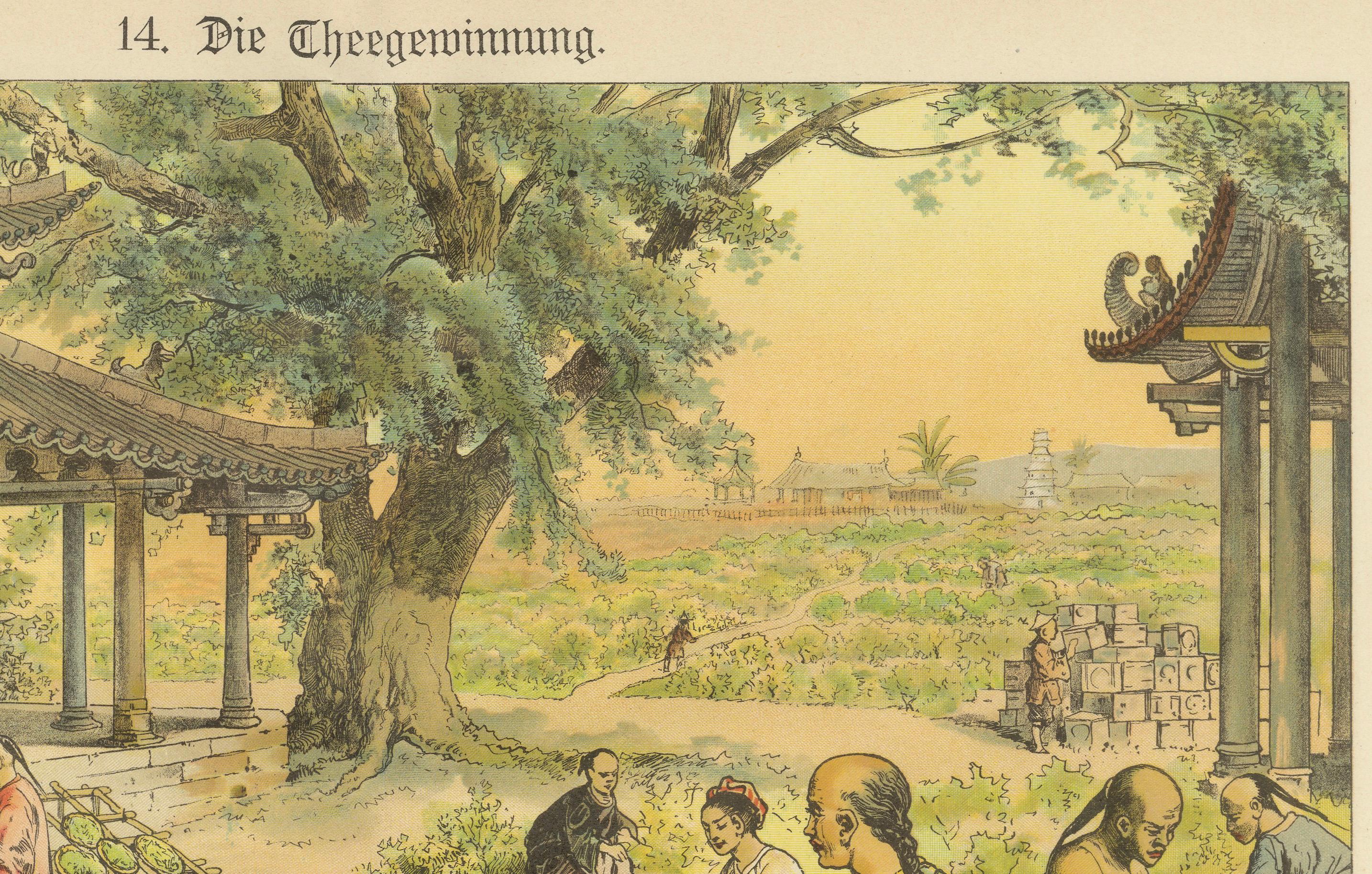 Antique Chromolithograph of Tea Harvesting and Processing in China, circa 1890

This beautifully detailed chromolithograph, titled “Die Theegewinnung” (Tea Production), dates from around 1890 and offers a richly illustrated depiction of the