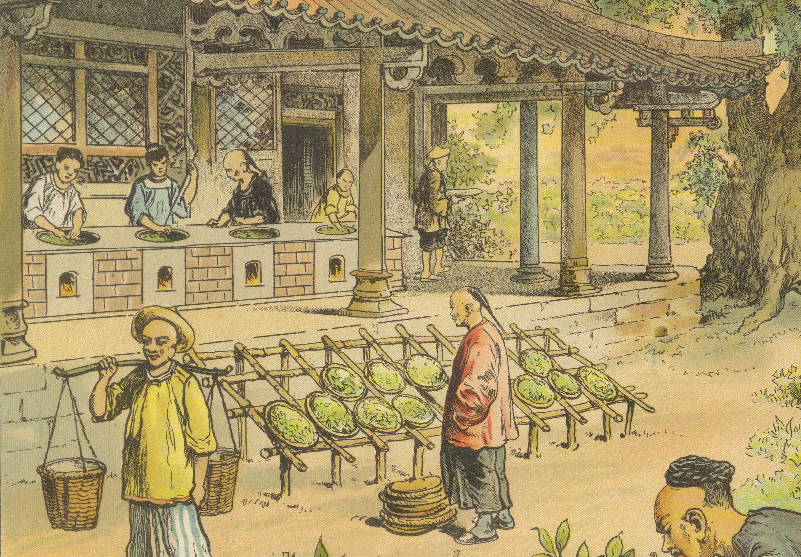 Antique Chromolithograph of Tea Harvesting and Processing in China, circa 1890 In Good Condition For Sale In Langweer, NL