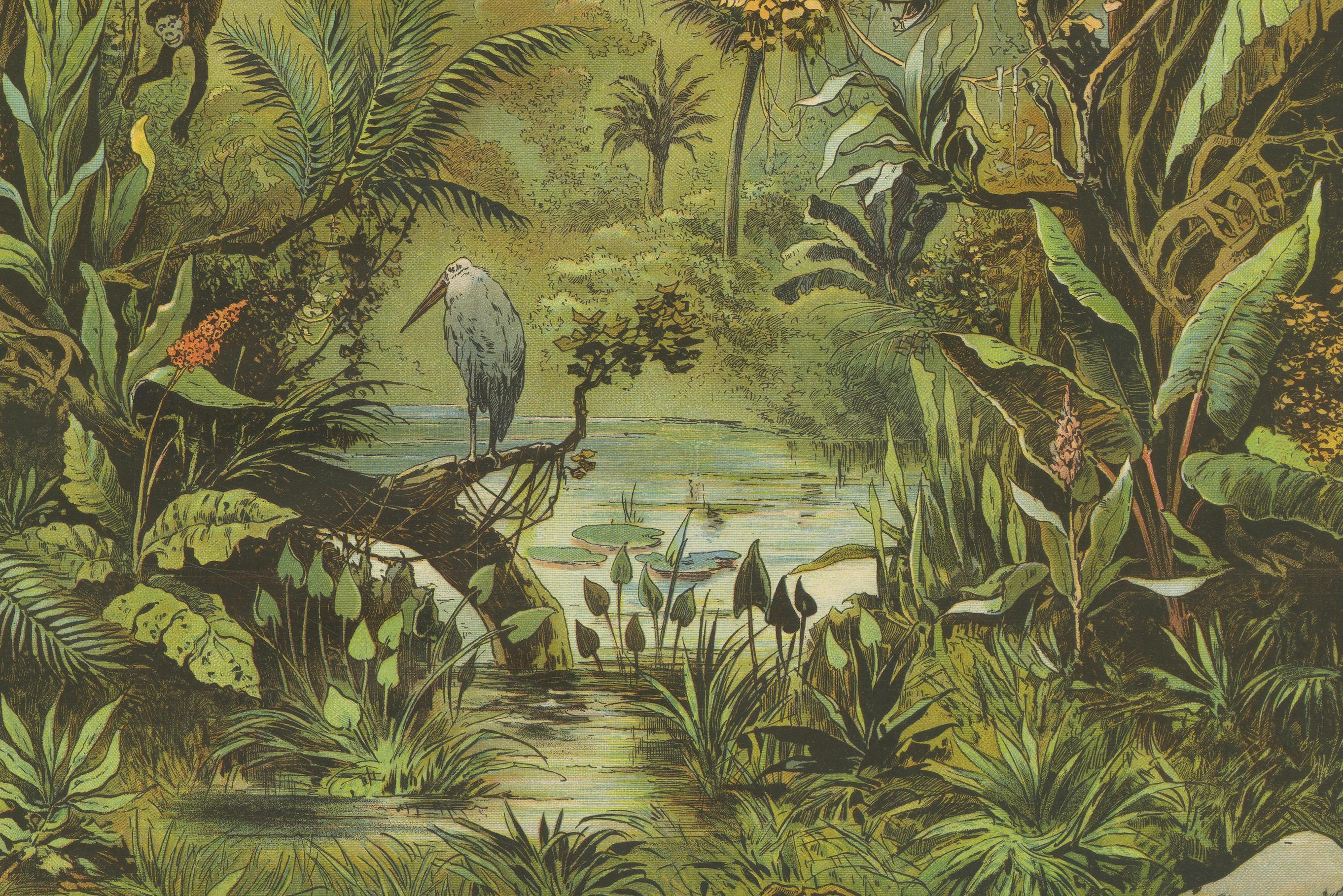 Antique Chromolithograph of the Brazilian Rainforest with Exotic Wildlife, ca. 1890

This lush and captivating chromolithograph, titled “Der brasilianische Urwald” (The Brazilian Rainforest), dates from around 1890 and presents a vibrant and highly