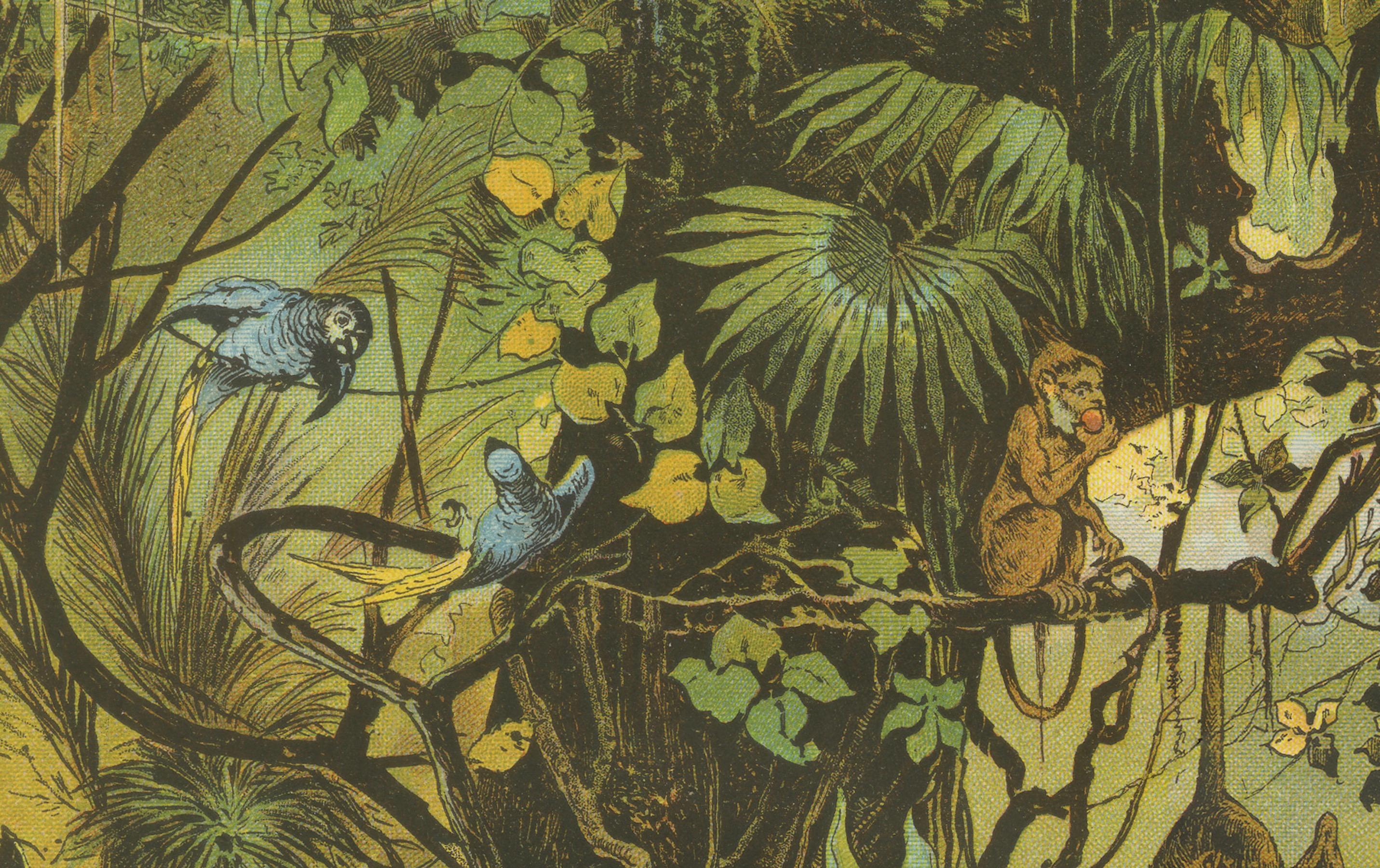 German Antique Chromolithograph of the Brazilian Rainforest with Exotic Wildlife, 1890 For Sale
