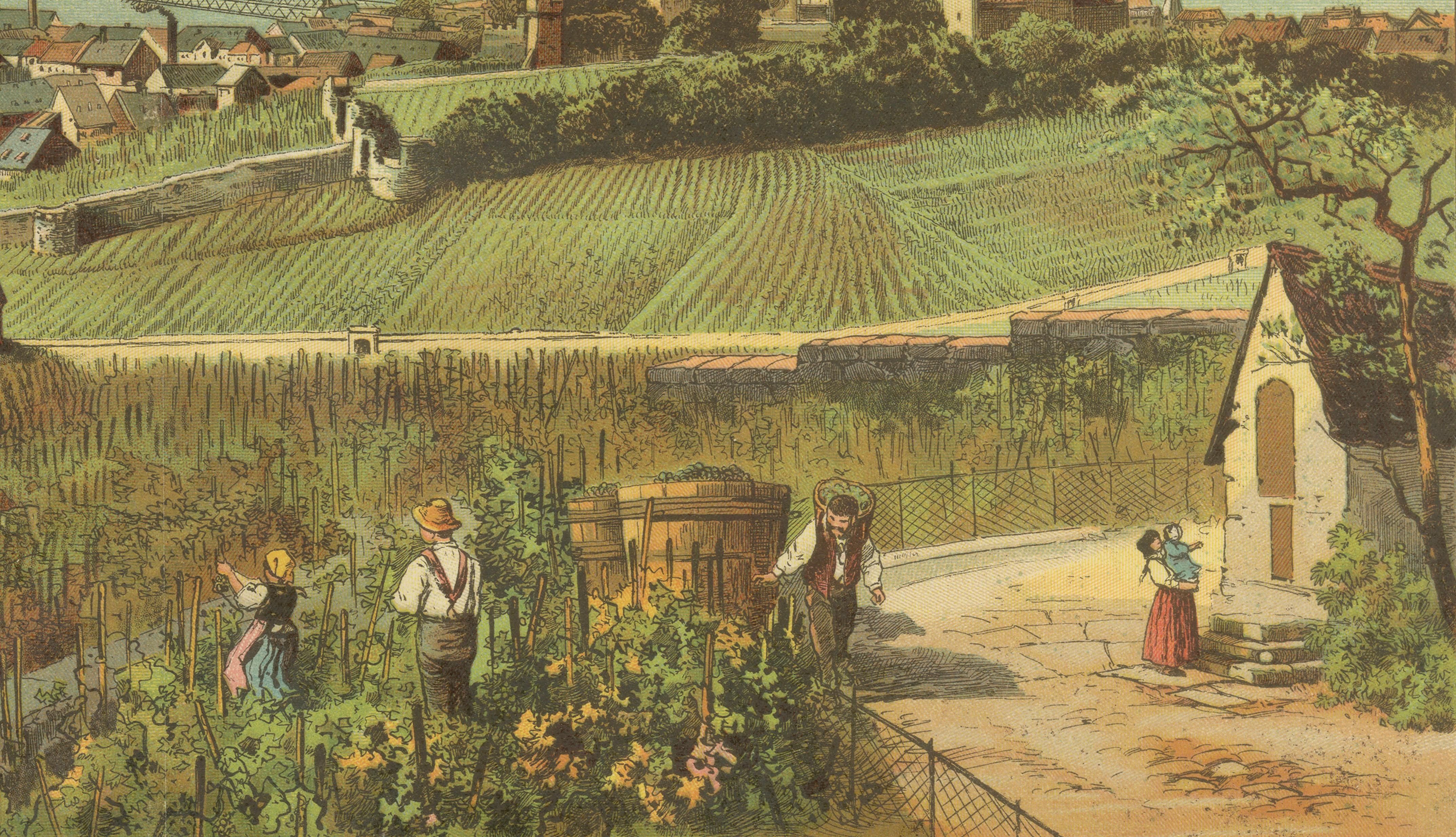 Antique Chromolithograph of the Rhine at Bingen with Castle and Vineyards, c1885 In Good Condition For Sale In Langweer, NL