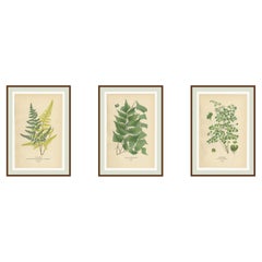 Prints