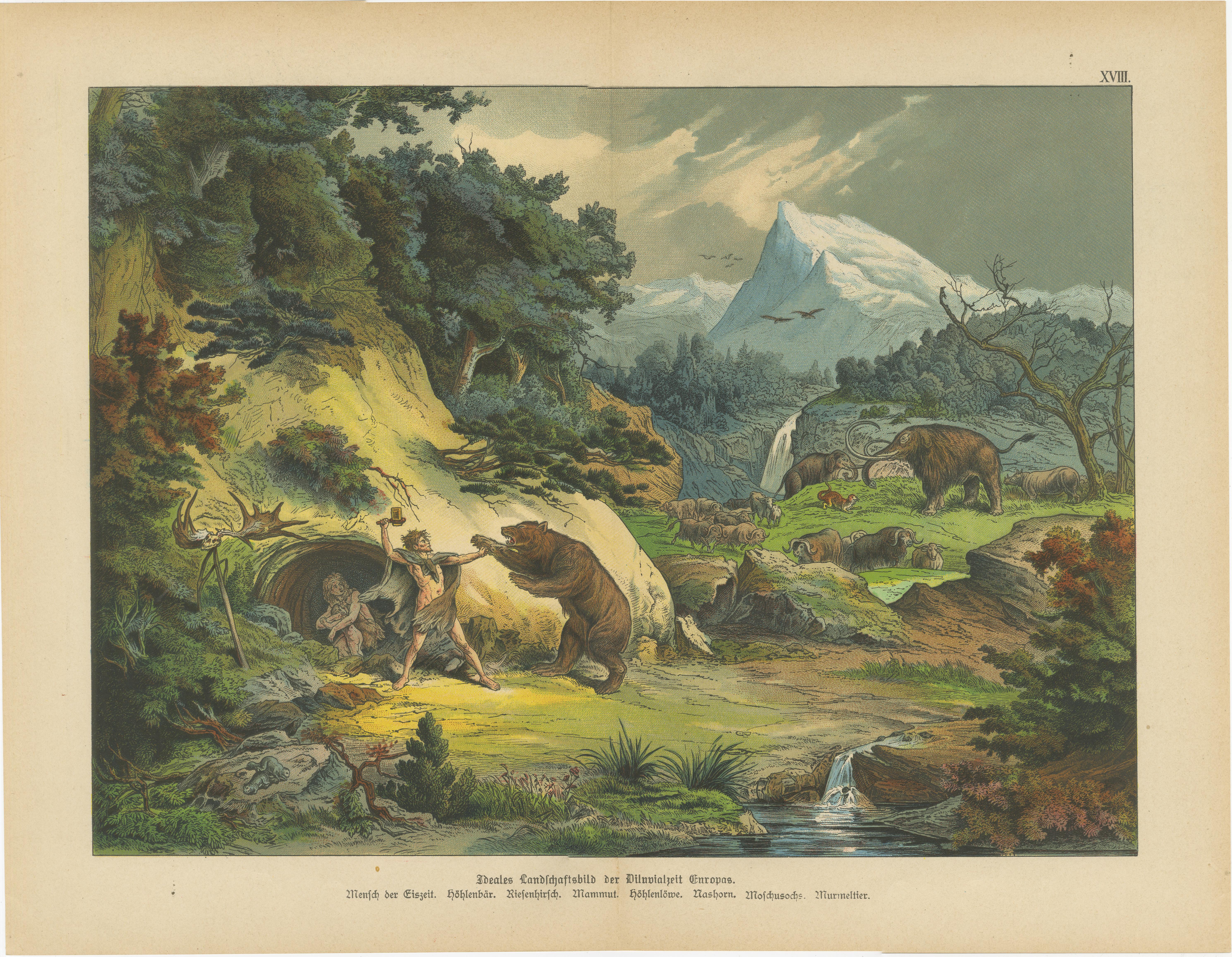 Cromolitografie antiche - Paesaggi preistorici del terziario e dell'era glaciale, 1880 ca. In condizioni buone in vendita a Langweer, NL