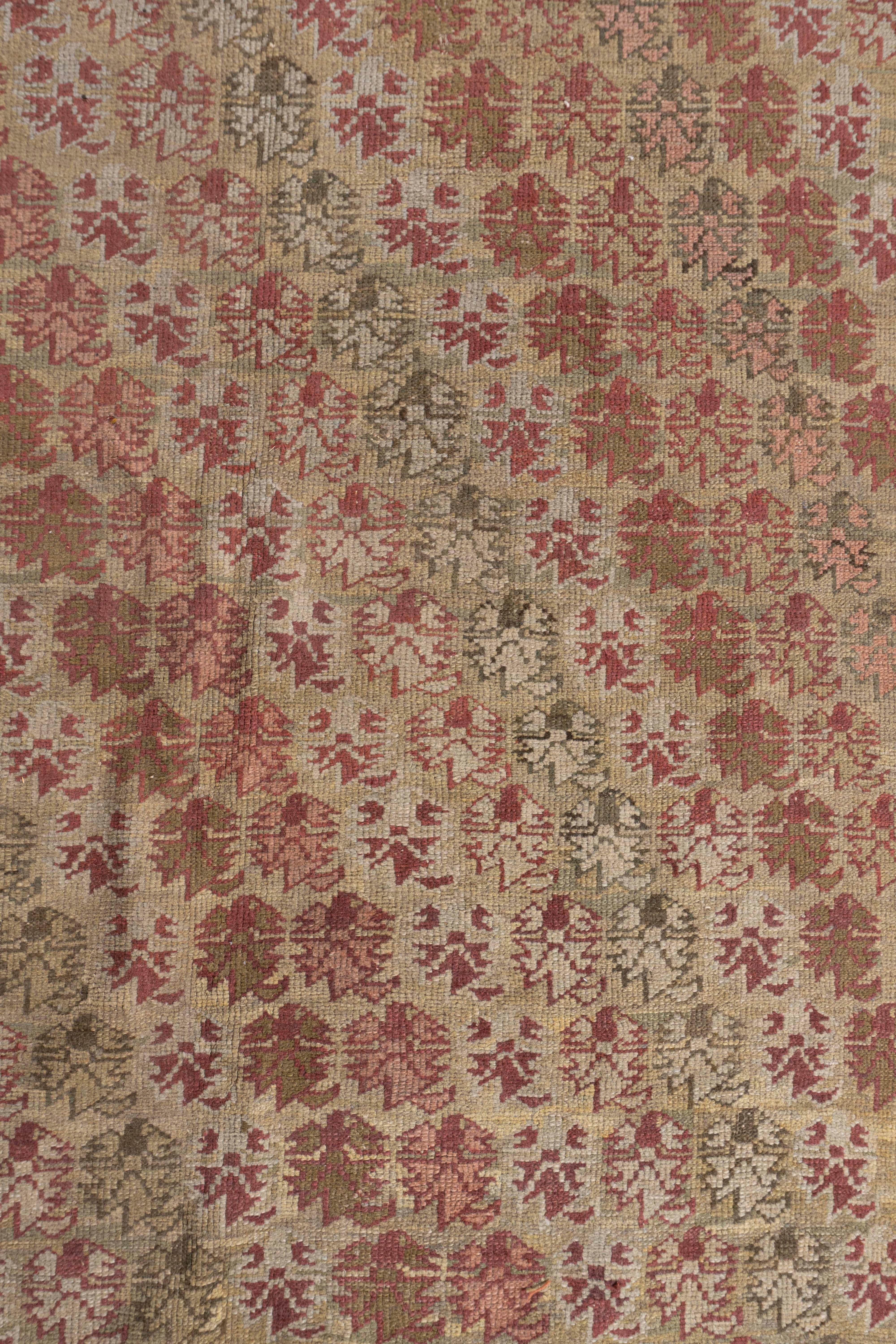 Antiker, handgeknüpfter, weicher, pfirsichfarbener, türkischer Ghiordes-Teppich aus der Zeit um 1870 13'8 X 17'7 (Wolle) im Angebot