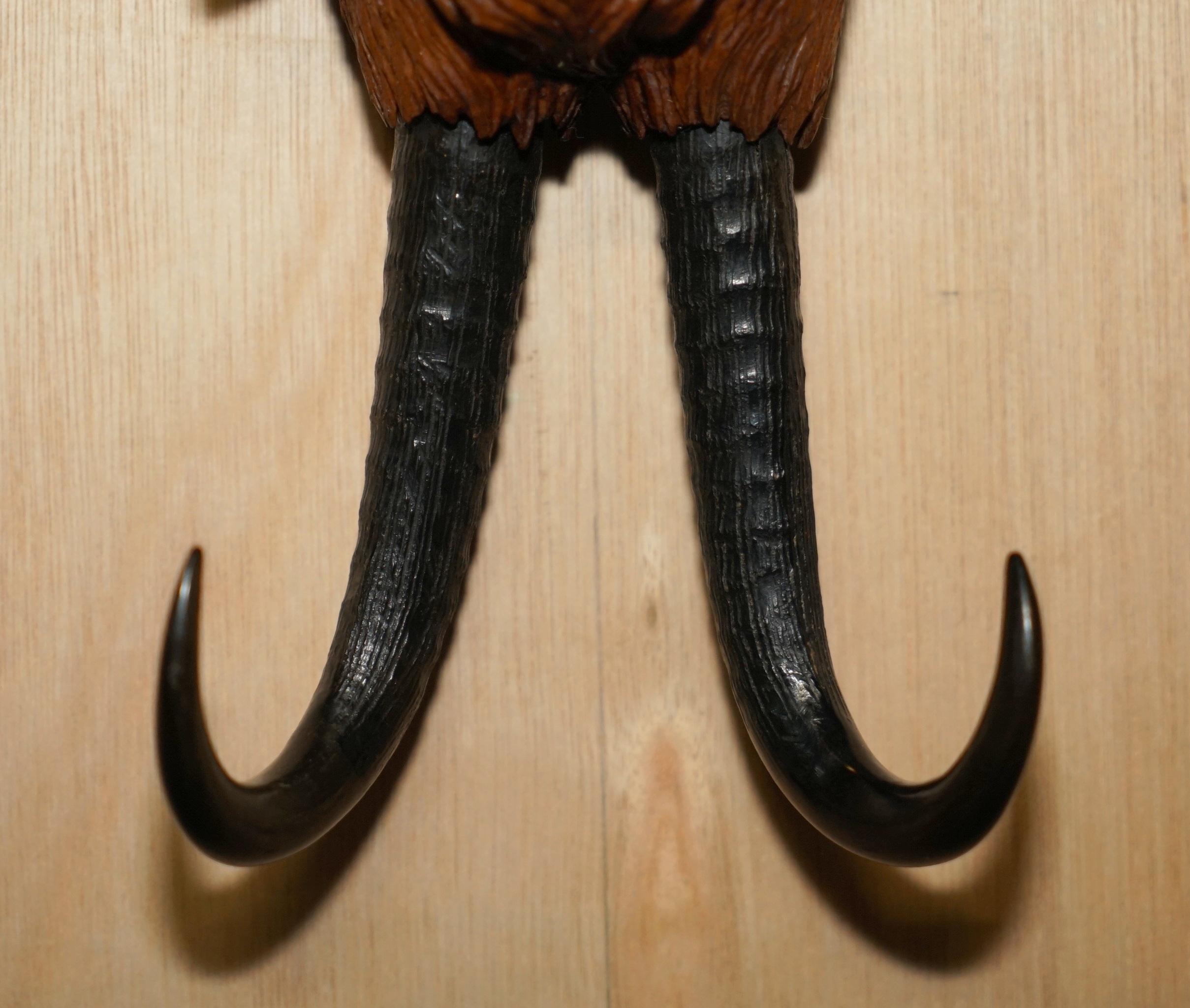 Antique circa 1880 Collectable Black Forest Hand Carved Fox Whip Hook Glass Eyes For Sale 1