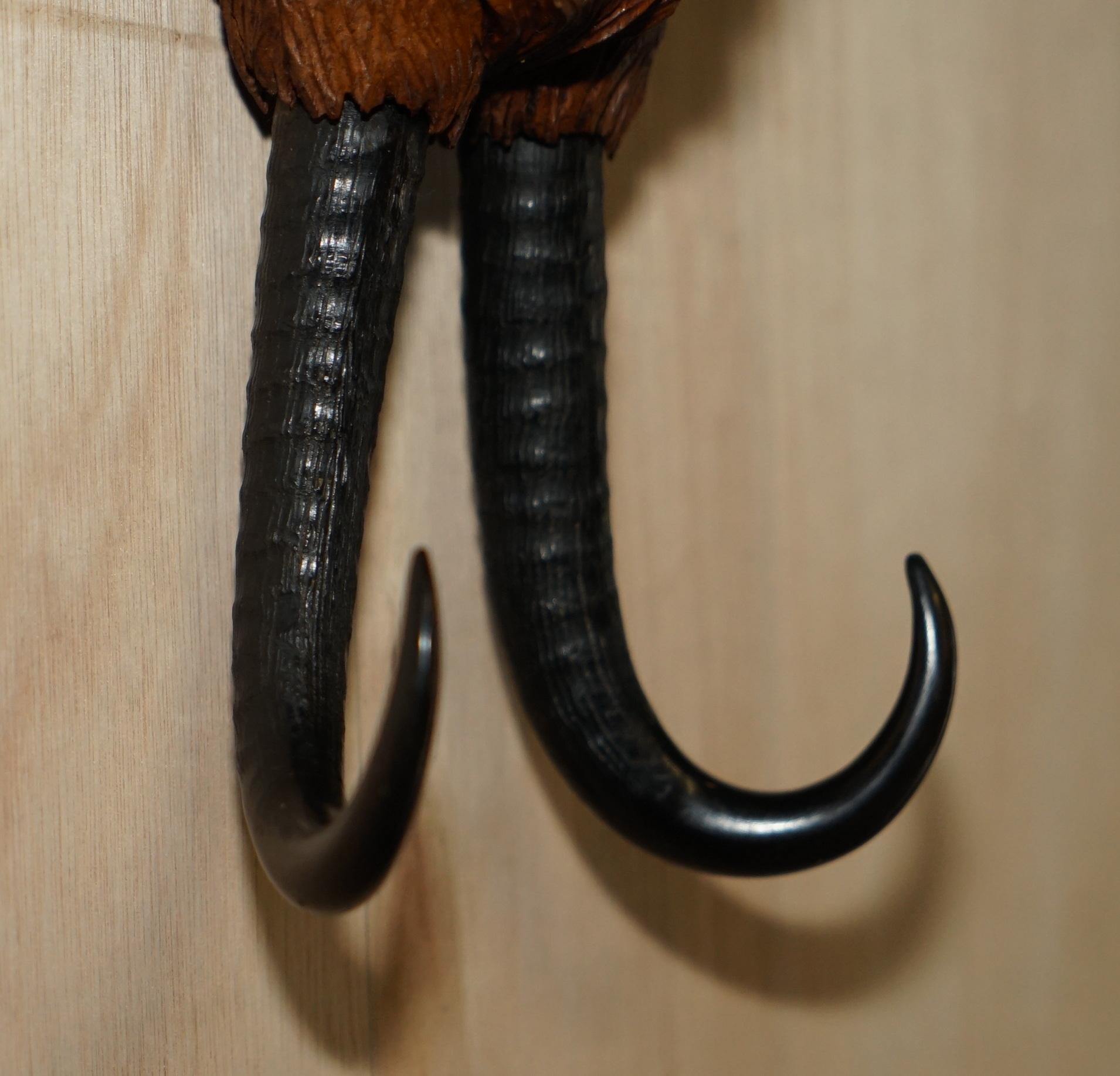 Antique circa 1880 Collectable Black Forest Hand Carved Fox Whip Hook Glass Eyes 1