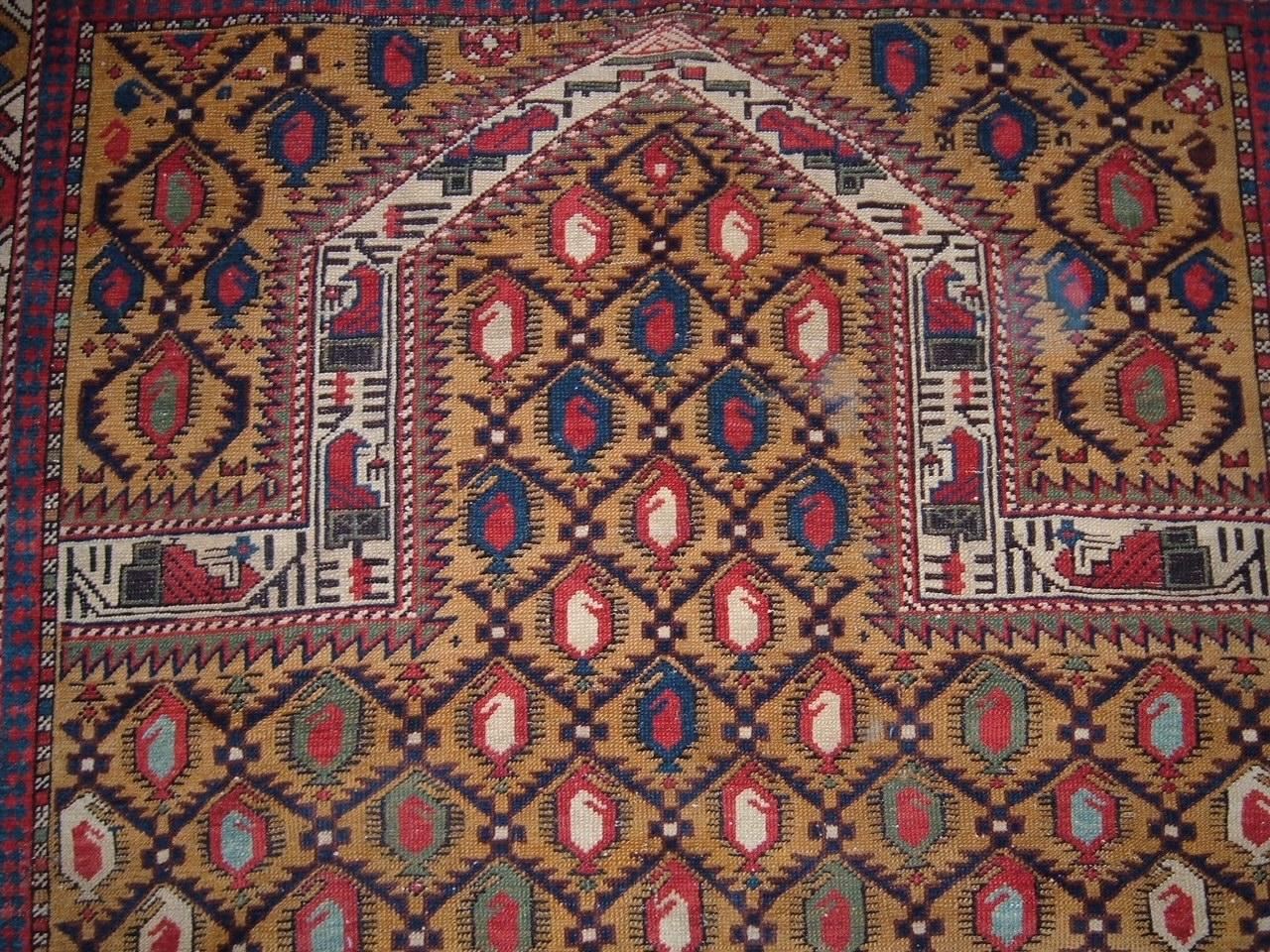 XIXe siècle Antiquities Circa 1880 Gold Caucasian Shirvan Marasali Hand Knotsted Rug 4' X 4'10 en vente