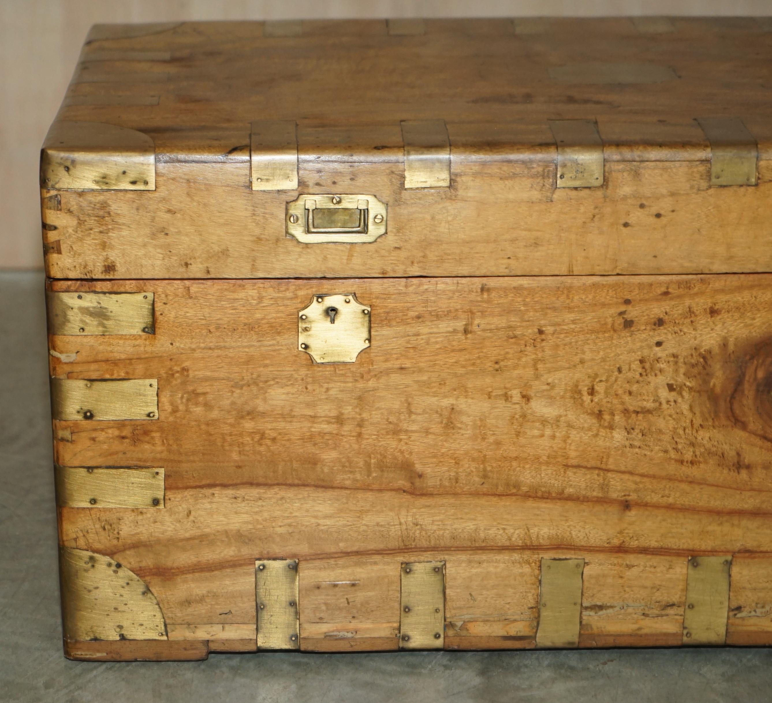 Antique circa 1880 Military Campaign Camphor Wood & Brass Chest or Trunk 5
