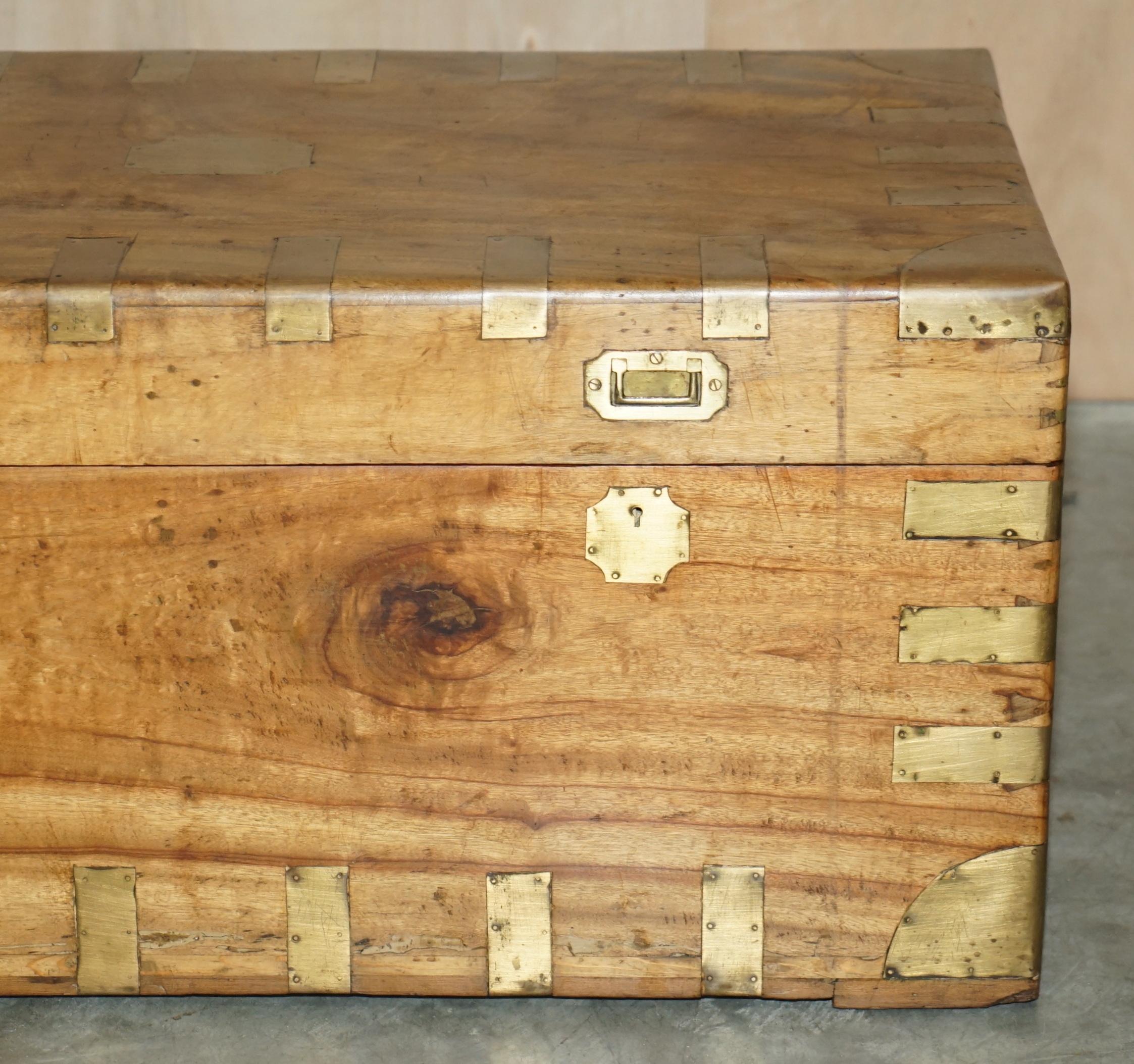 Antique circa 1880 Military Campaign Camphor Wood & Brass Chest or Trunk 3