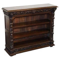 ANTIQUE CIRCA 1880 OAK GREENMAN & LiONHEADS DWARF OPEN BOOKCASE