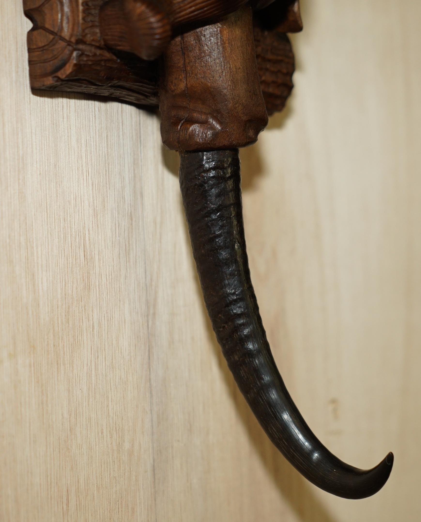 Antique circa 1880 Super Rare Black Forest Hand Carved Dwarf Knome Whip Hook 3