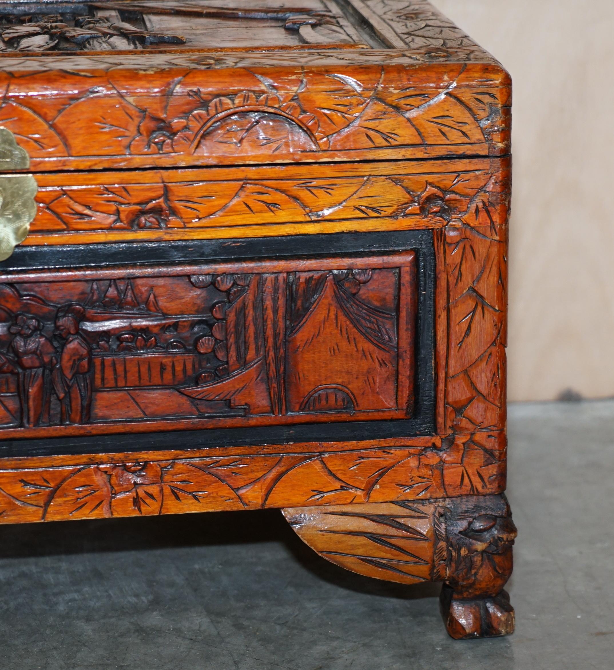 Antique circa 1900 Hand Carved Chinese Camphor Wood Travelling Trunk Nice Finish For Sale 1