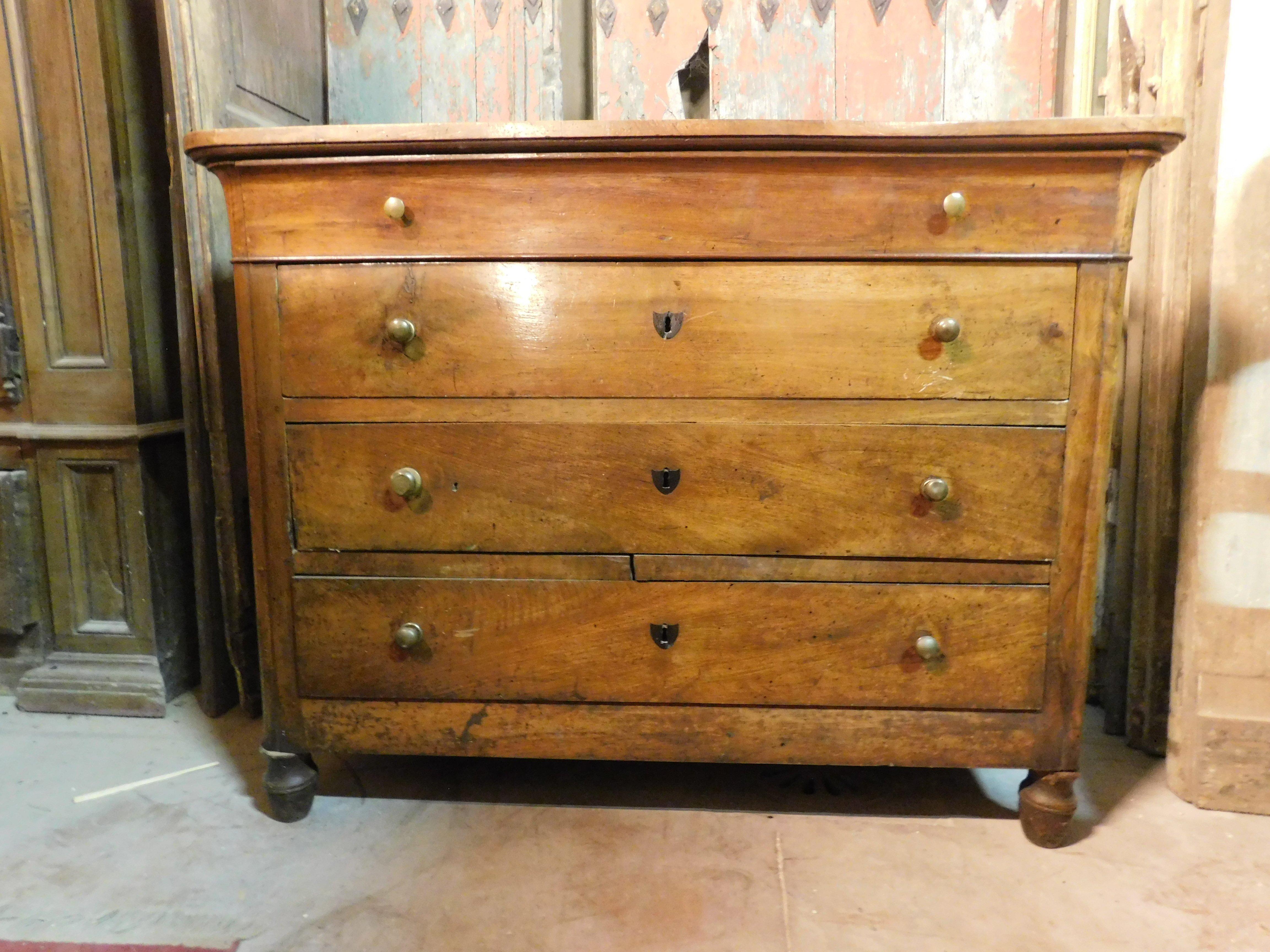 Italian Antique Classic Chest of Drawers in Walnut, 4 Drawers, 19th Century, Italy