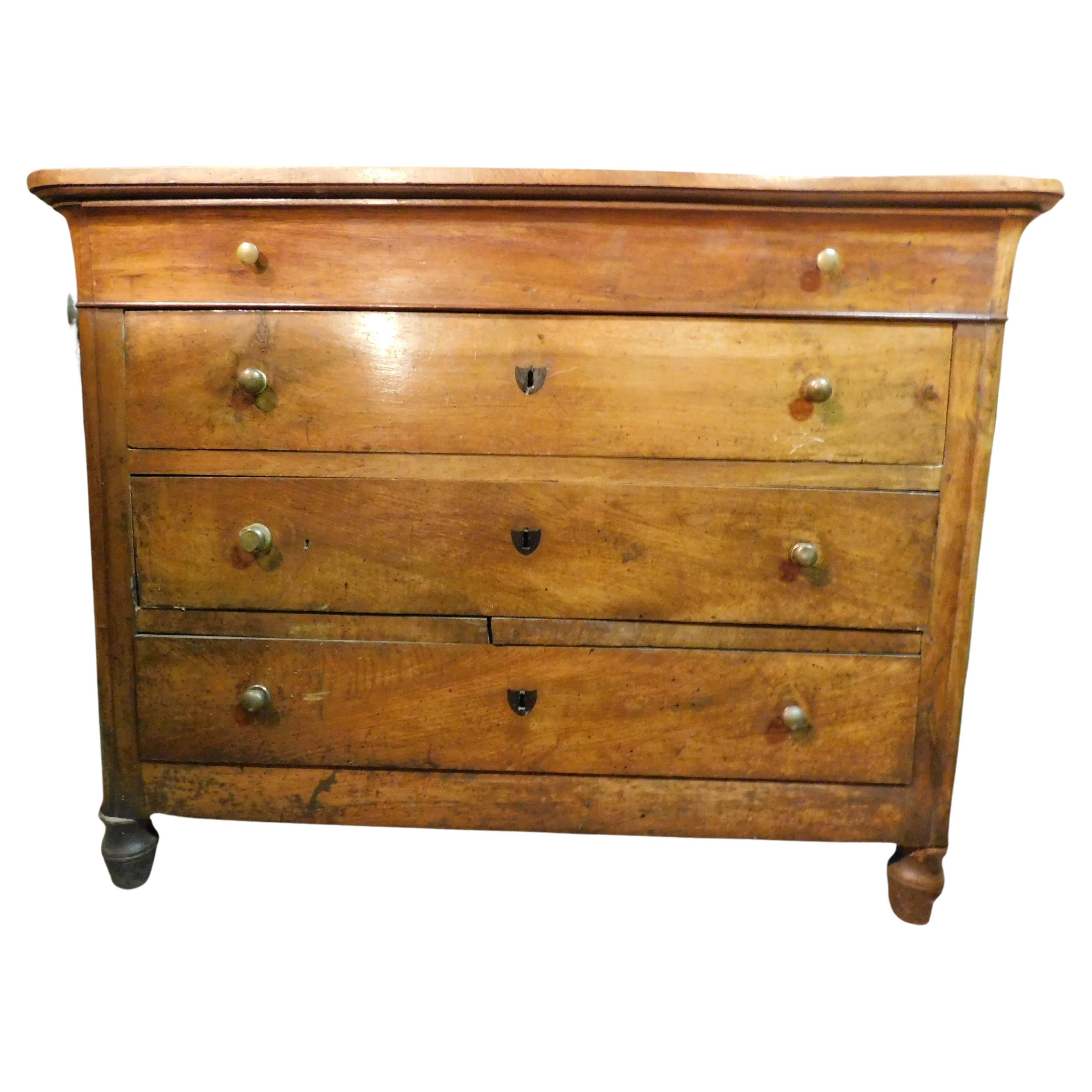 Antique Classic Chest of Drawers in Walnut, 4 Drawers, 19th Century, Italy