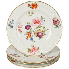 Antique Coalport Botanical Porcelain Dishes