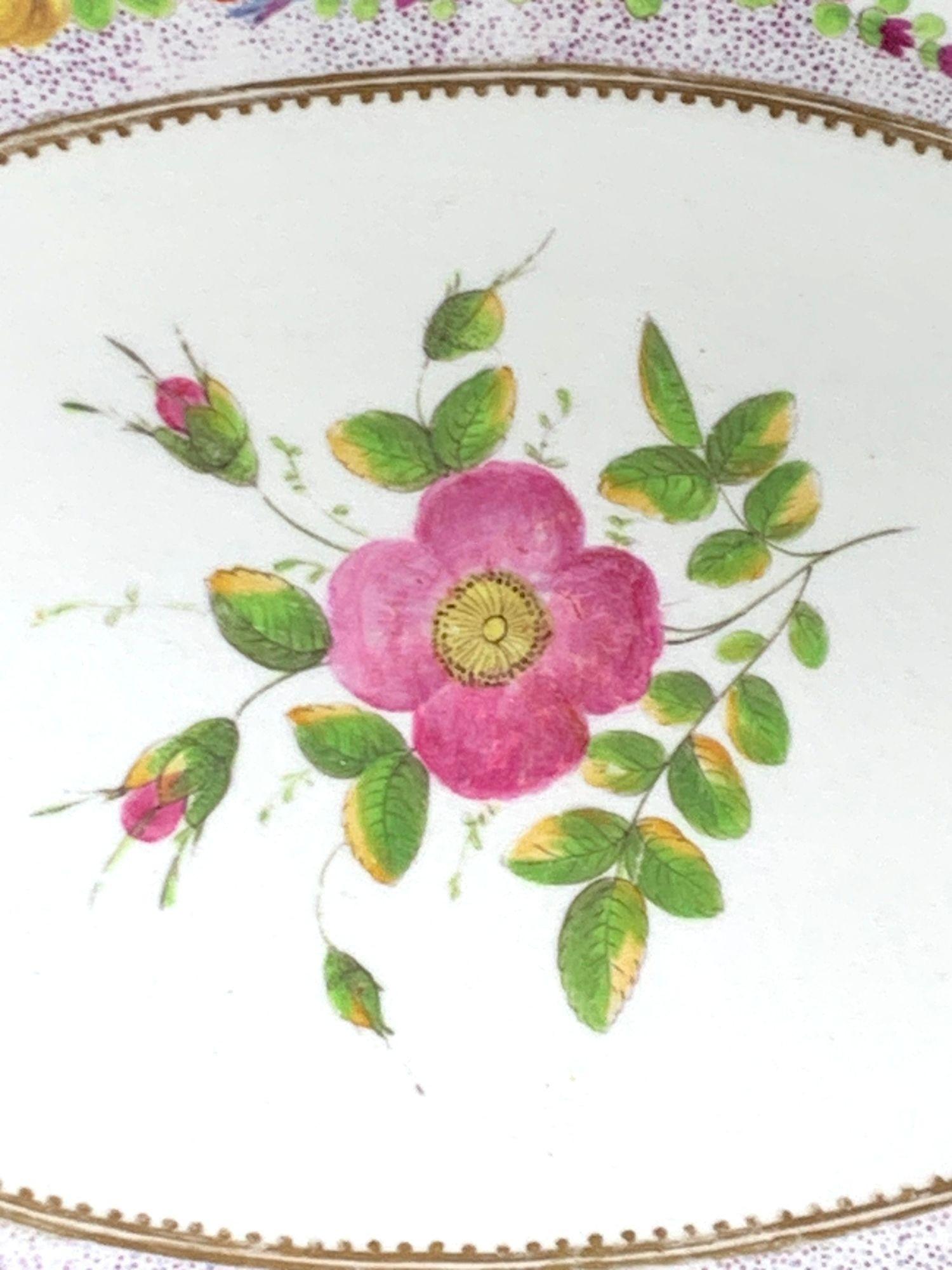 Antiguo Plato de Porcelana de Coalport Pintado a Mano con Flores Inglaterra Circa 1825 en Excelente estado para la venta en Katonah, NY