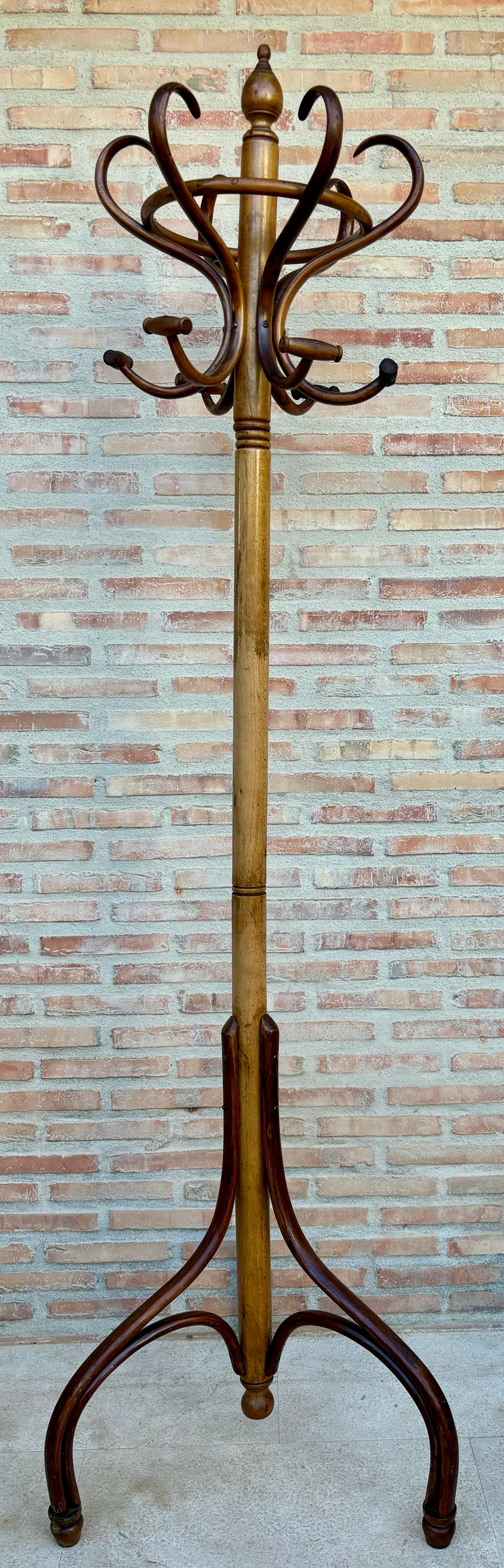 Perchero antiguo, década de 1890 Colonial español en venta