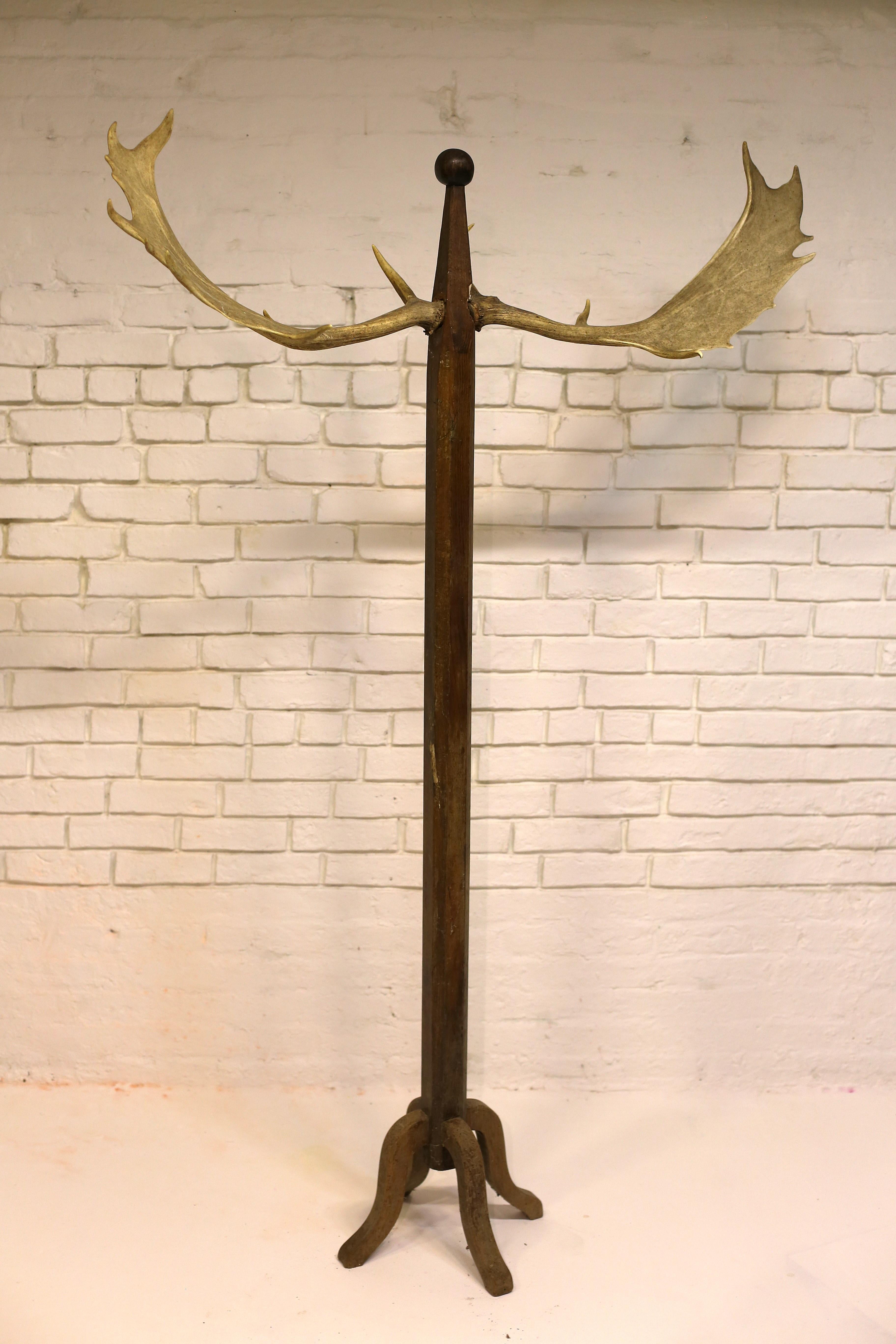 Antique Coat Rack with Antler, Hungary, Early 20th Century. 

This unique coat rack consists of a very simple, modest design but with extraordinary antlers and a finial top. 

This coat rack is in great condition but could be stabilized more