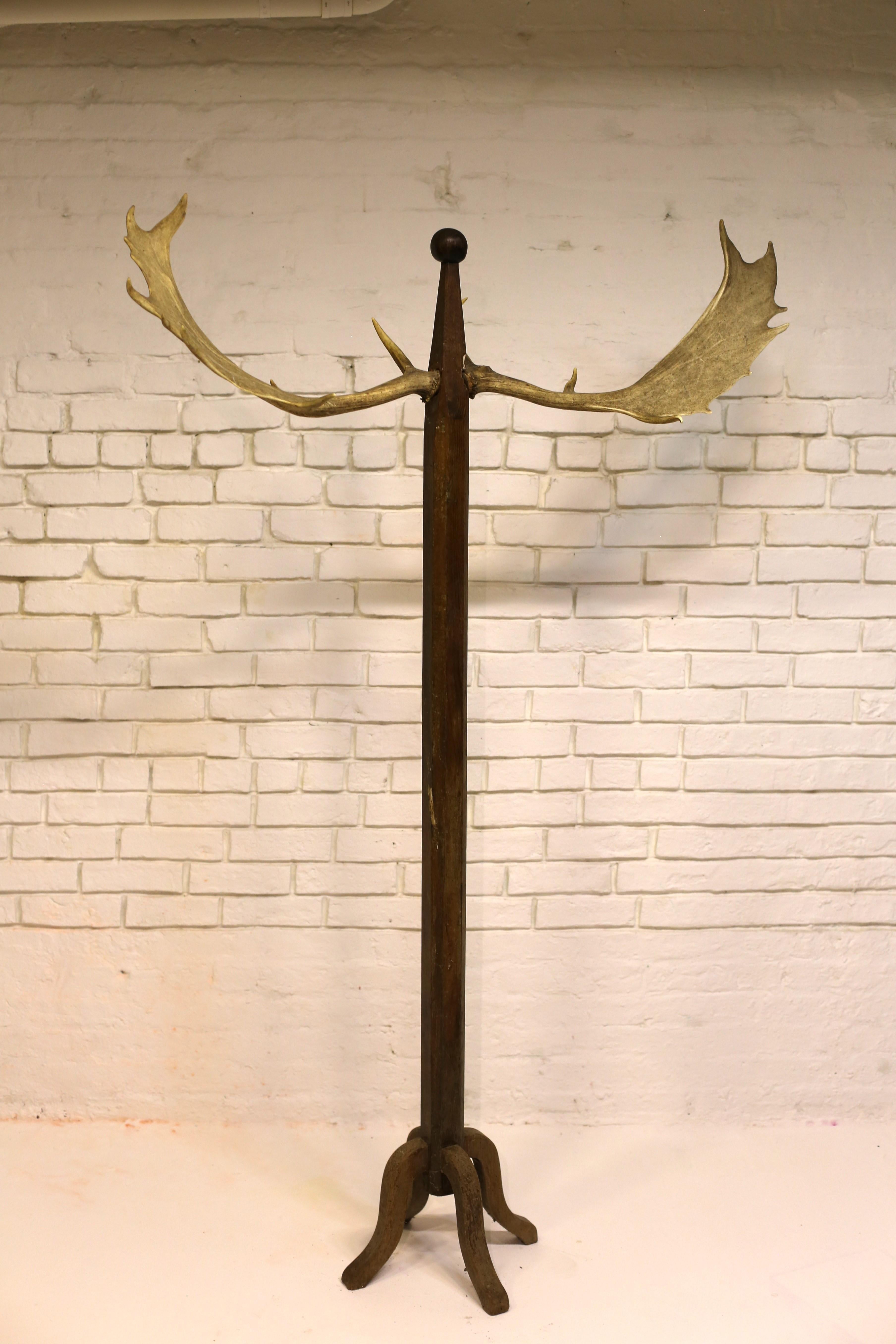 Rustic Antique Coat Rack with Antlers, Hungary, Early 20th Century For Sale