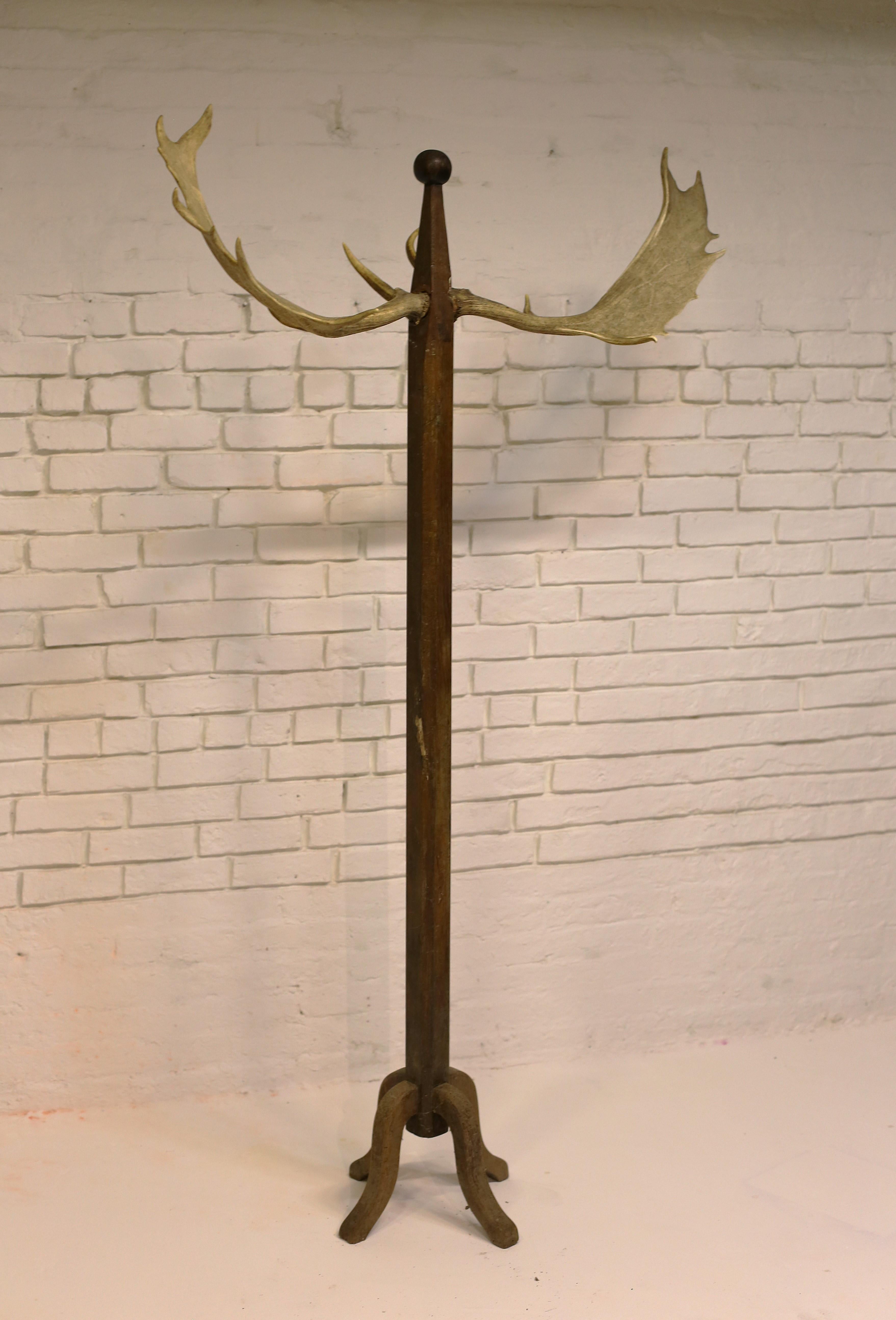 Hungarian Antique Coat Rack with Antlers, Hungary, Early 20th Century For Sale