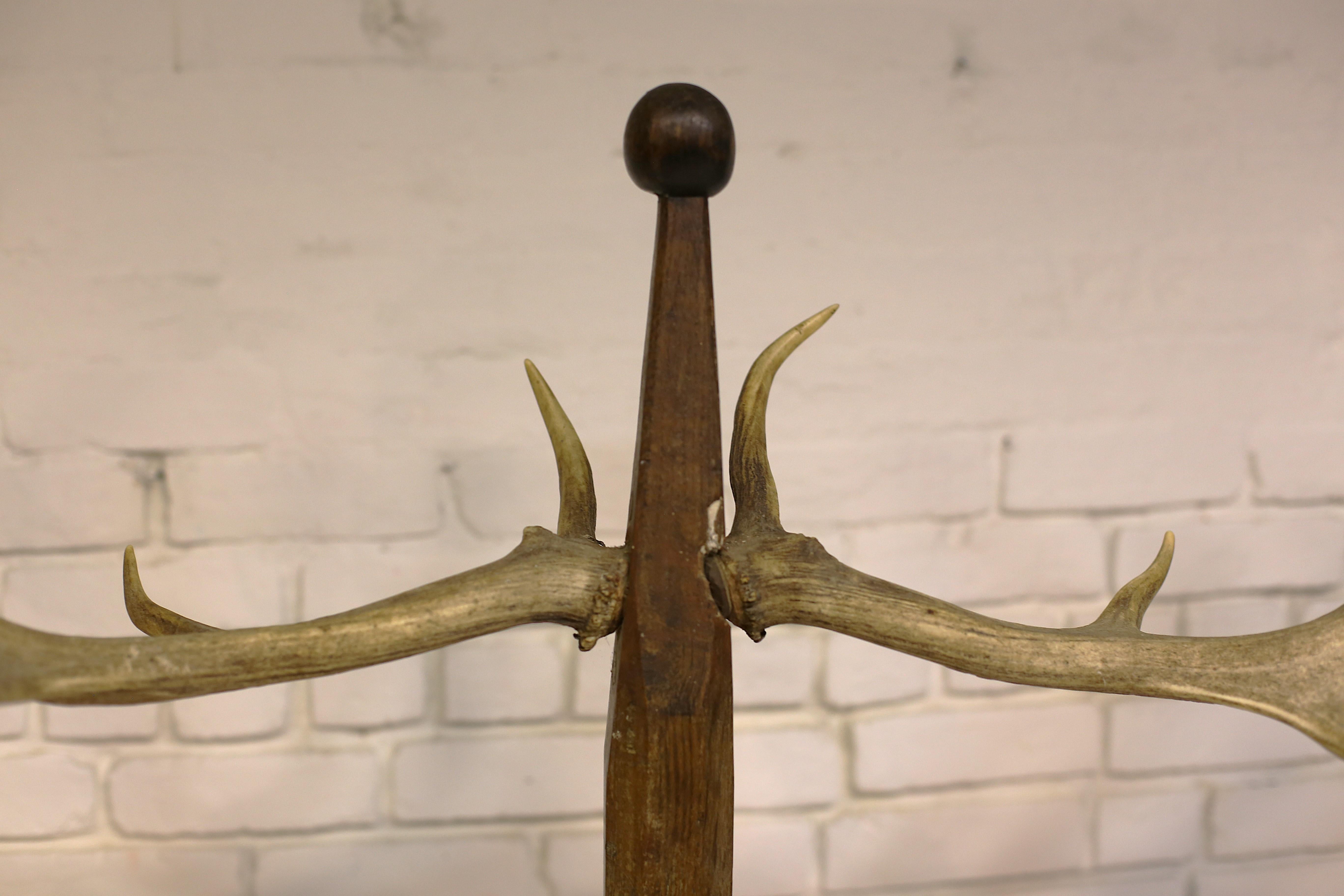Antique Coat Rack with Antlers, Hungary, Early 20th Century For Sale 1