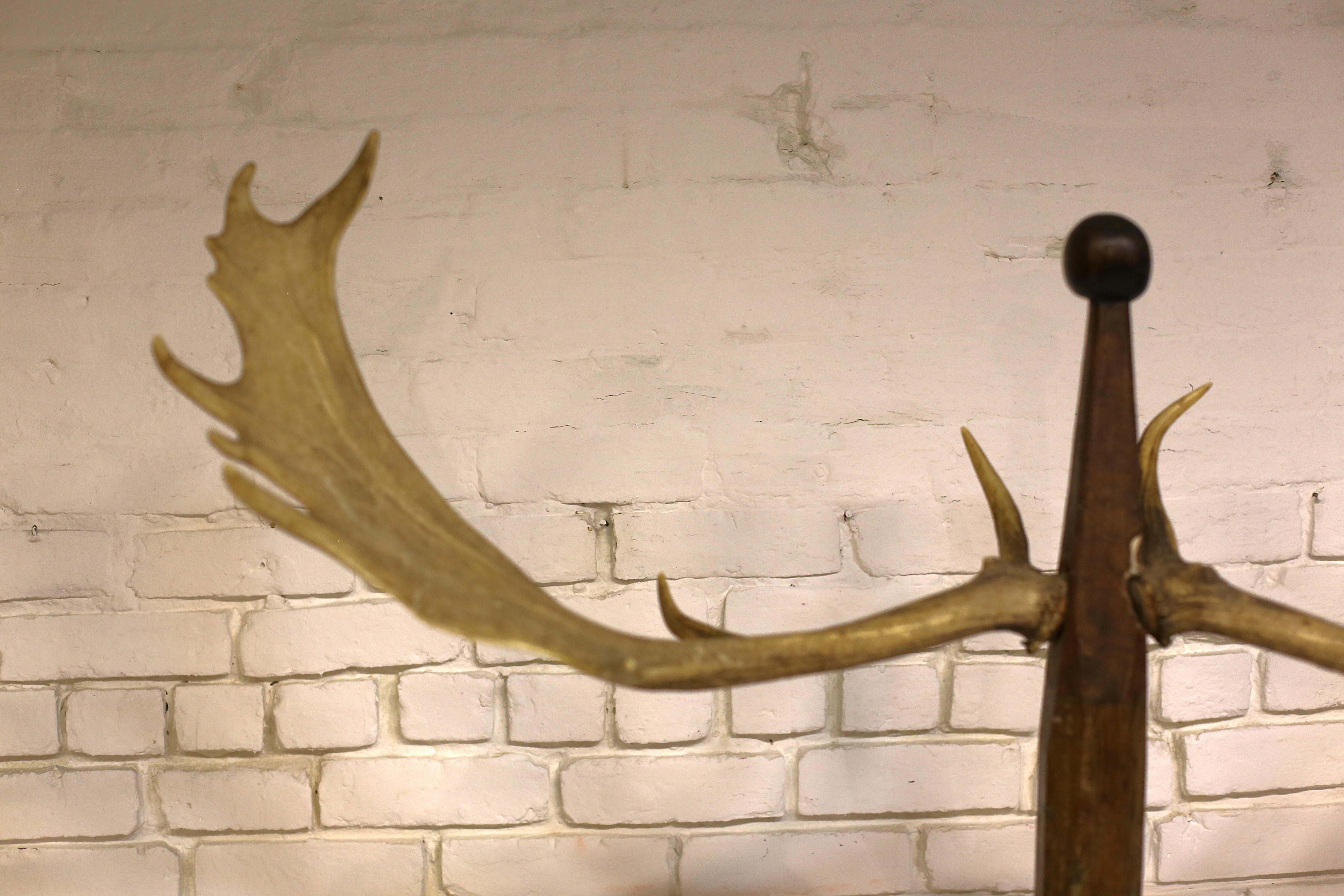Antique Coat Rack with Antlers, Hungary, Early 20th Century For Sale 2