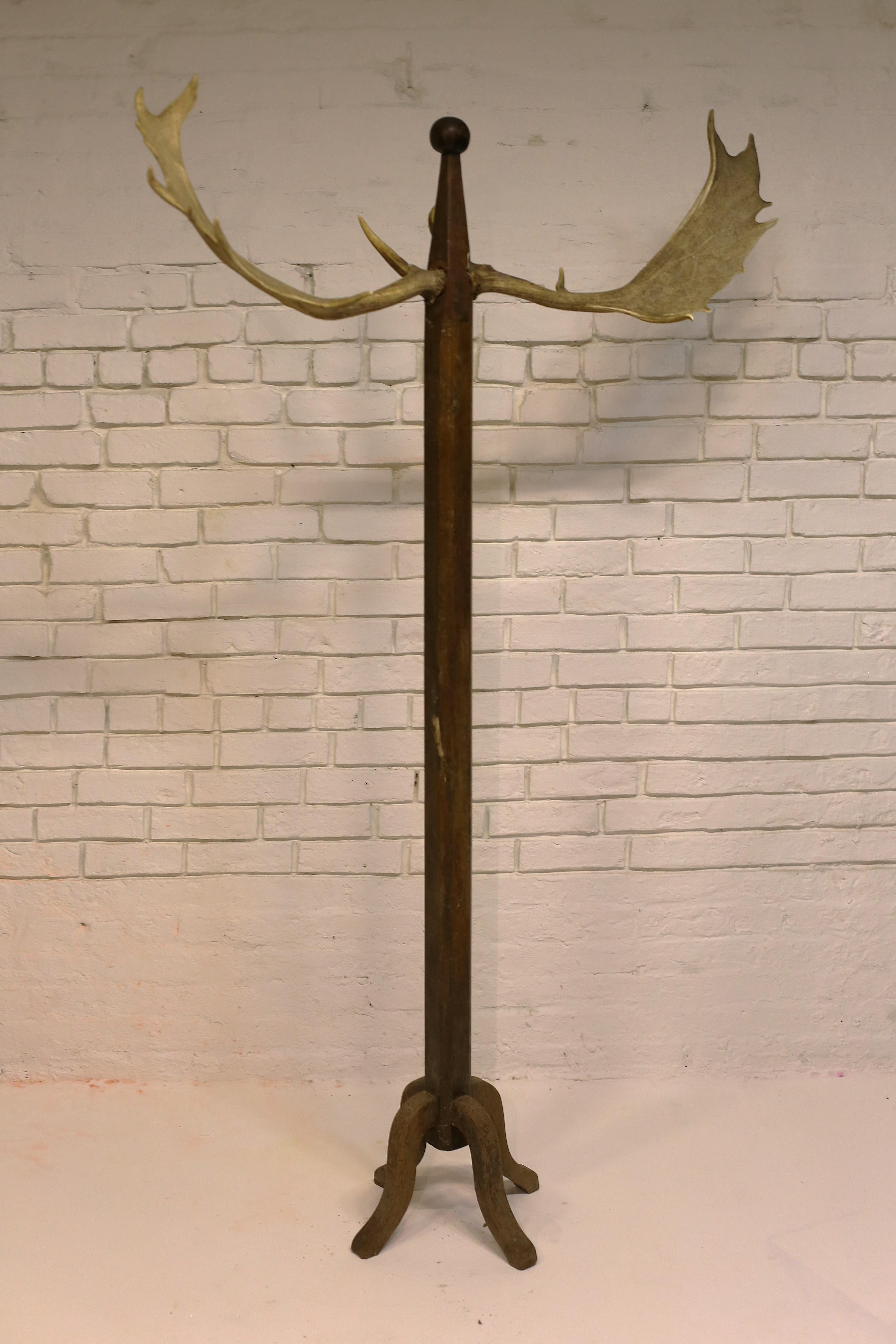 Antique Coat Rack with Antlers, Hungary, Early 20th Century For Sale 4