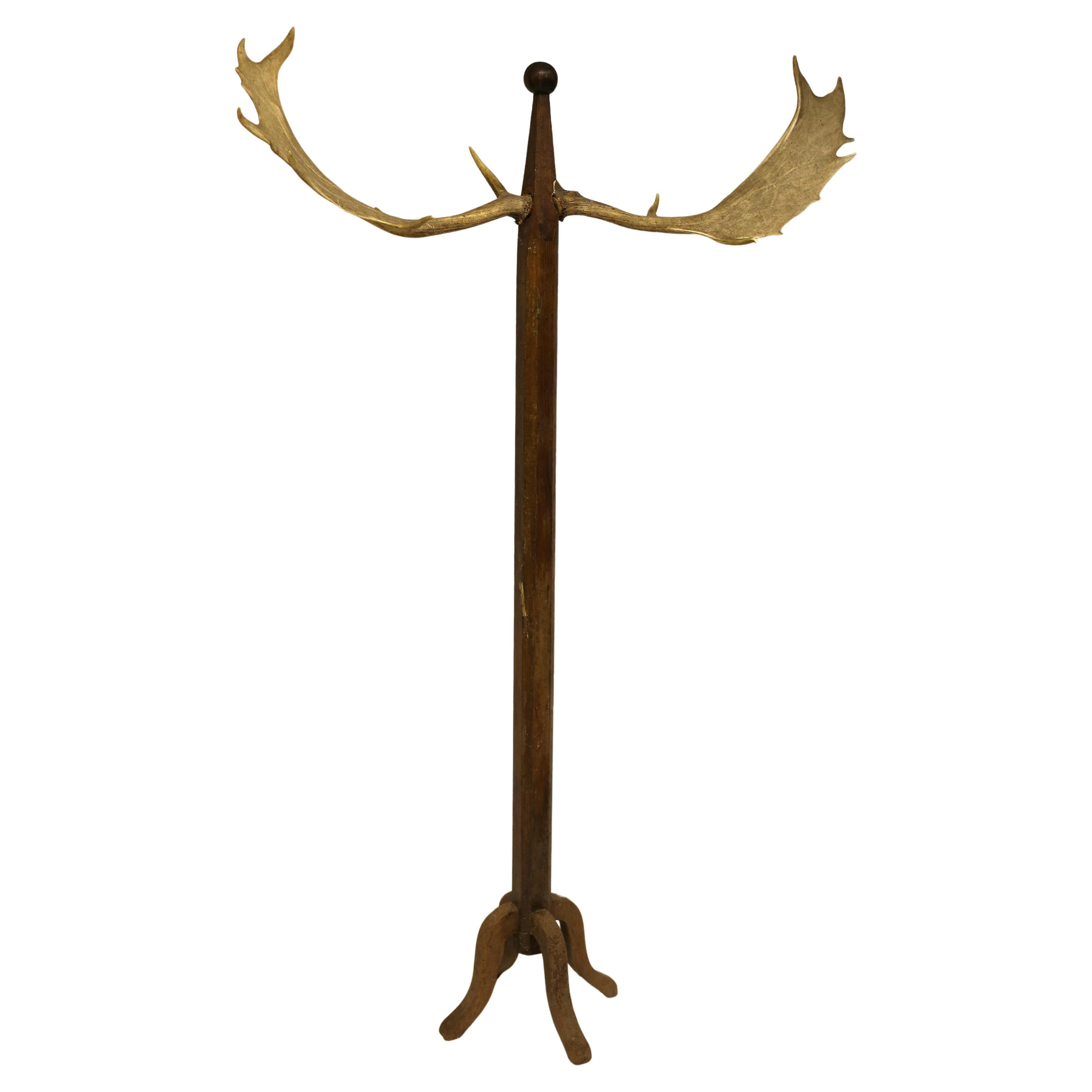Antique Coat Rack with Antlers, Hungary, Early 20th Century For Sale