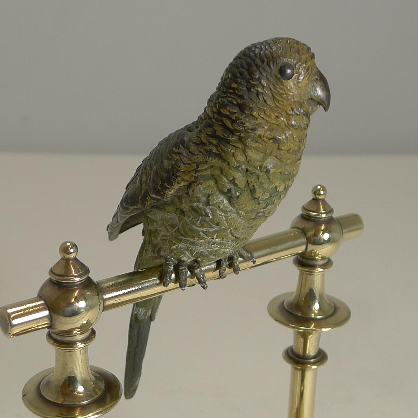 Antique Cold Painted Bronze Budgerigar / Parakeet Inkwell, circa 1890 1