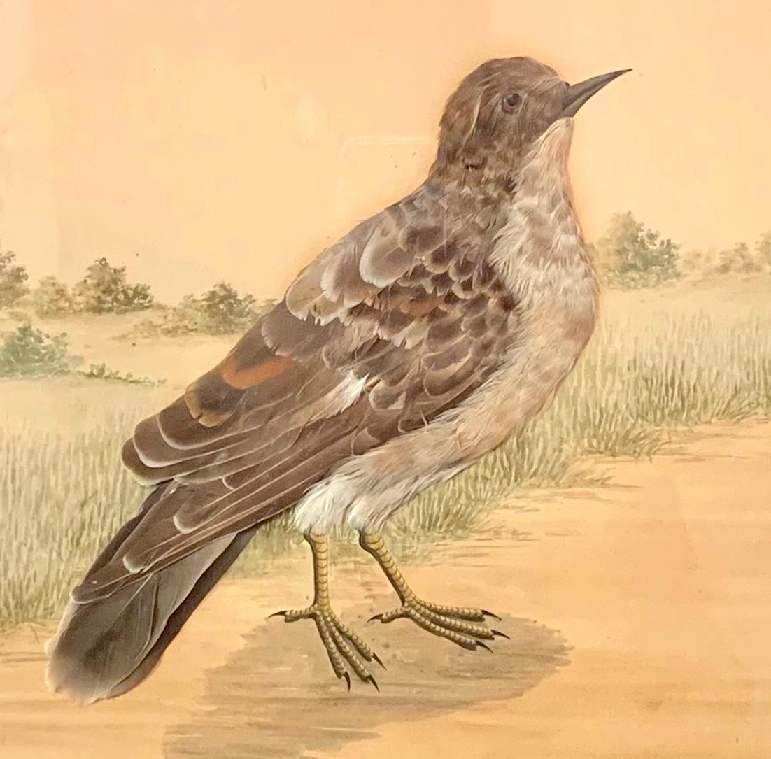 This naturalistic collage of a thrush is set in a peaceful and delicate landscape showing a heath with trees, shrubs and bushes in front of an open horizon. The bird is standing on a sandy path with finely drawn gras on either side.
The landscape is