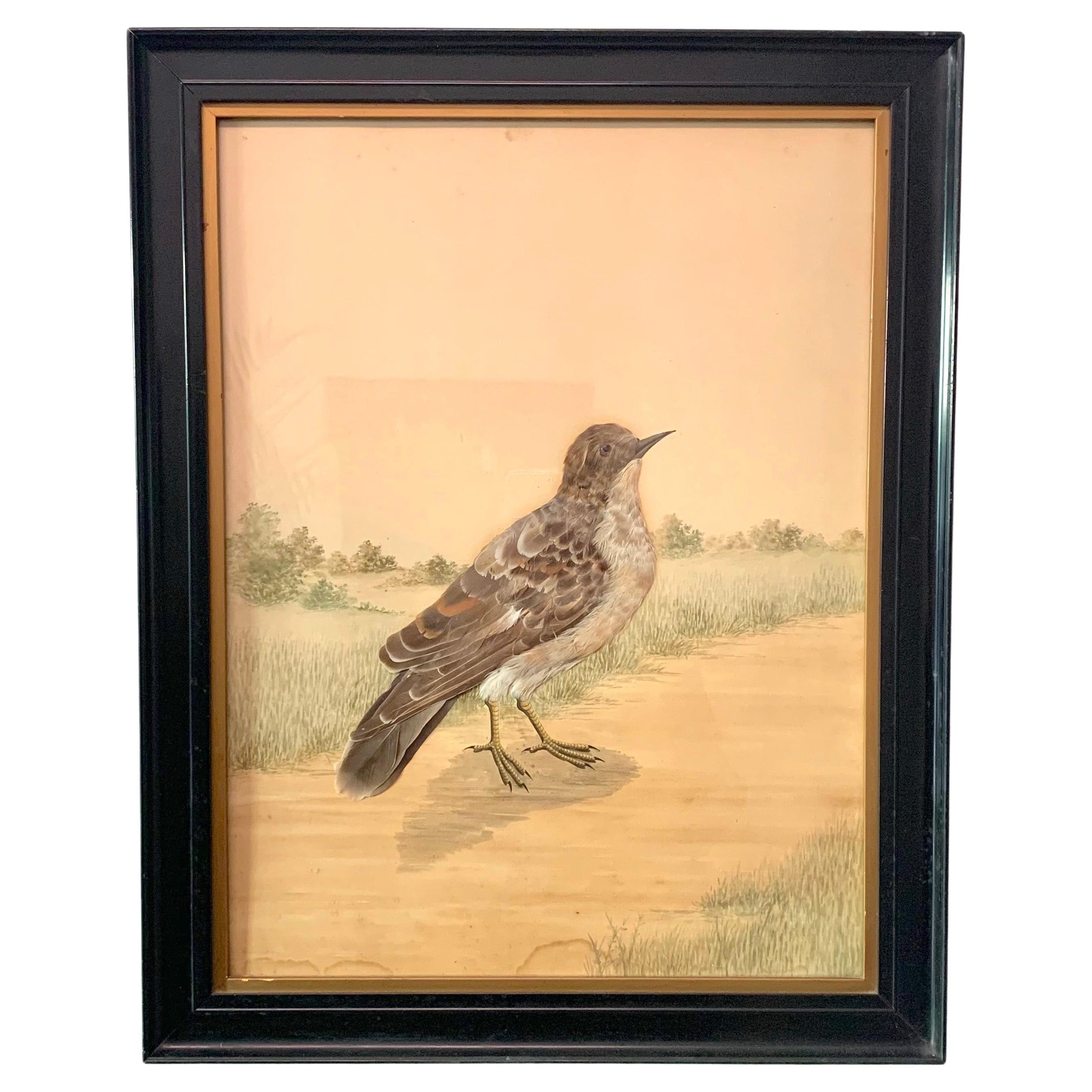 Antique Collage of a Bird Feathers on Watercolour For Sale