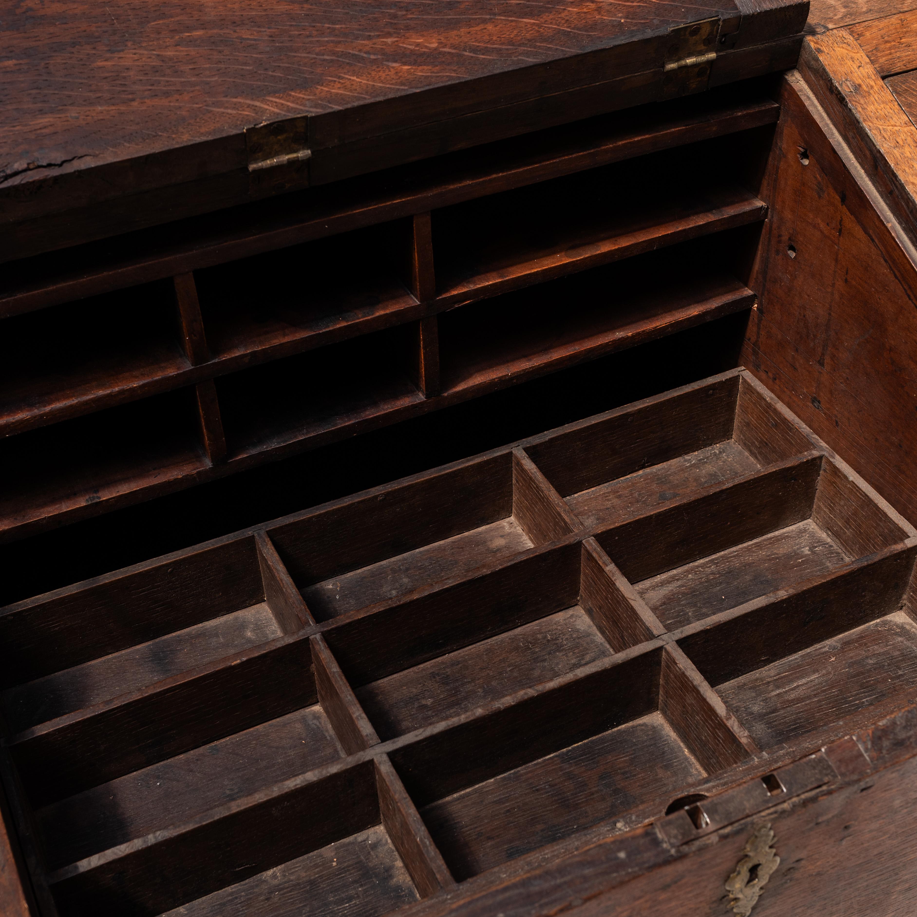 Antique  Collector’s Chest, England, 20th Century For Sale 1