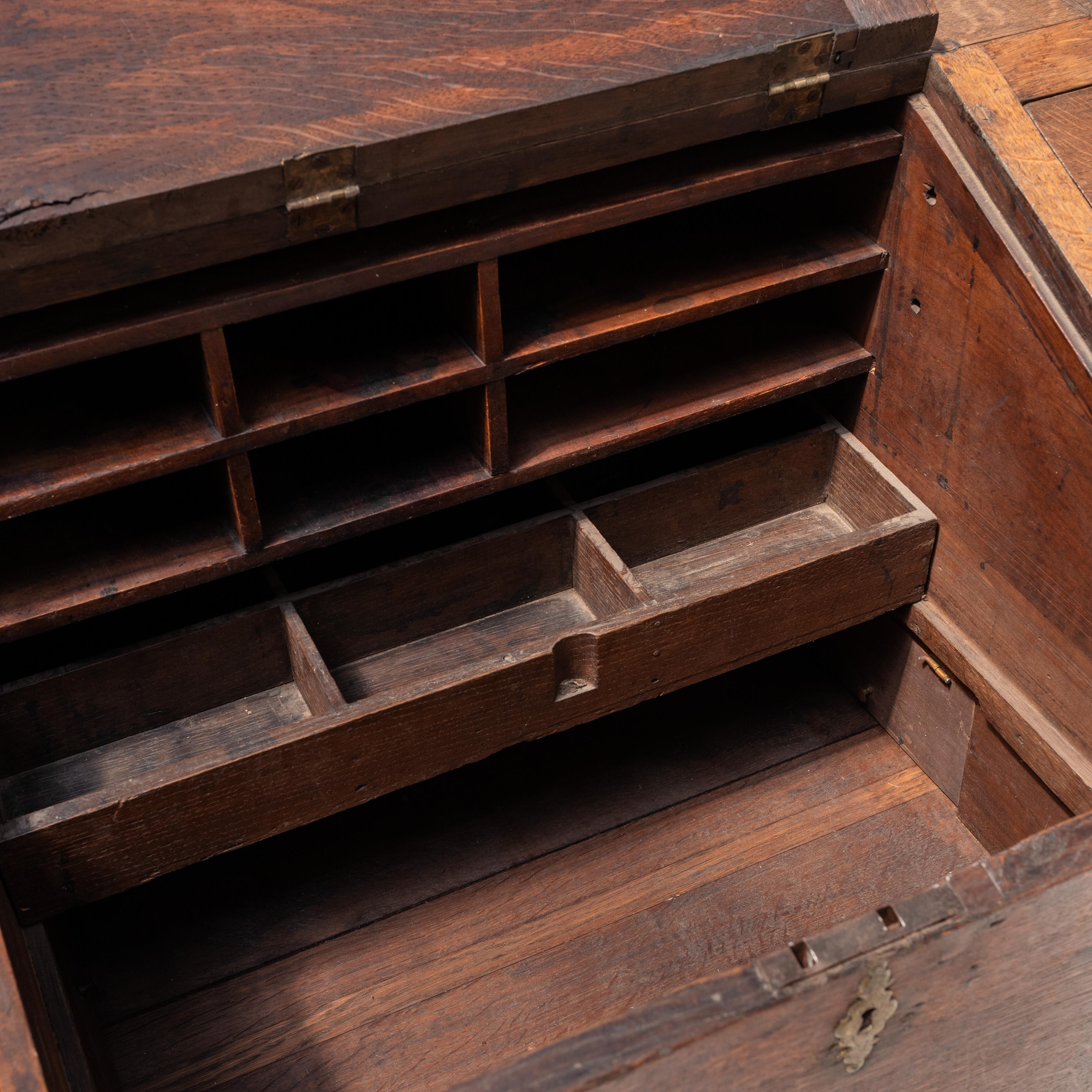 Antique  Collector’s Chest, England, 20th Century For Sale 2