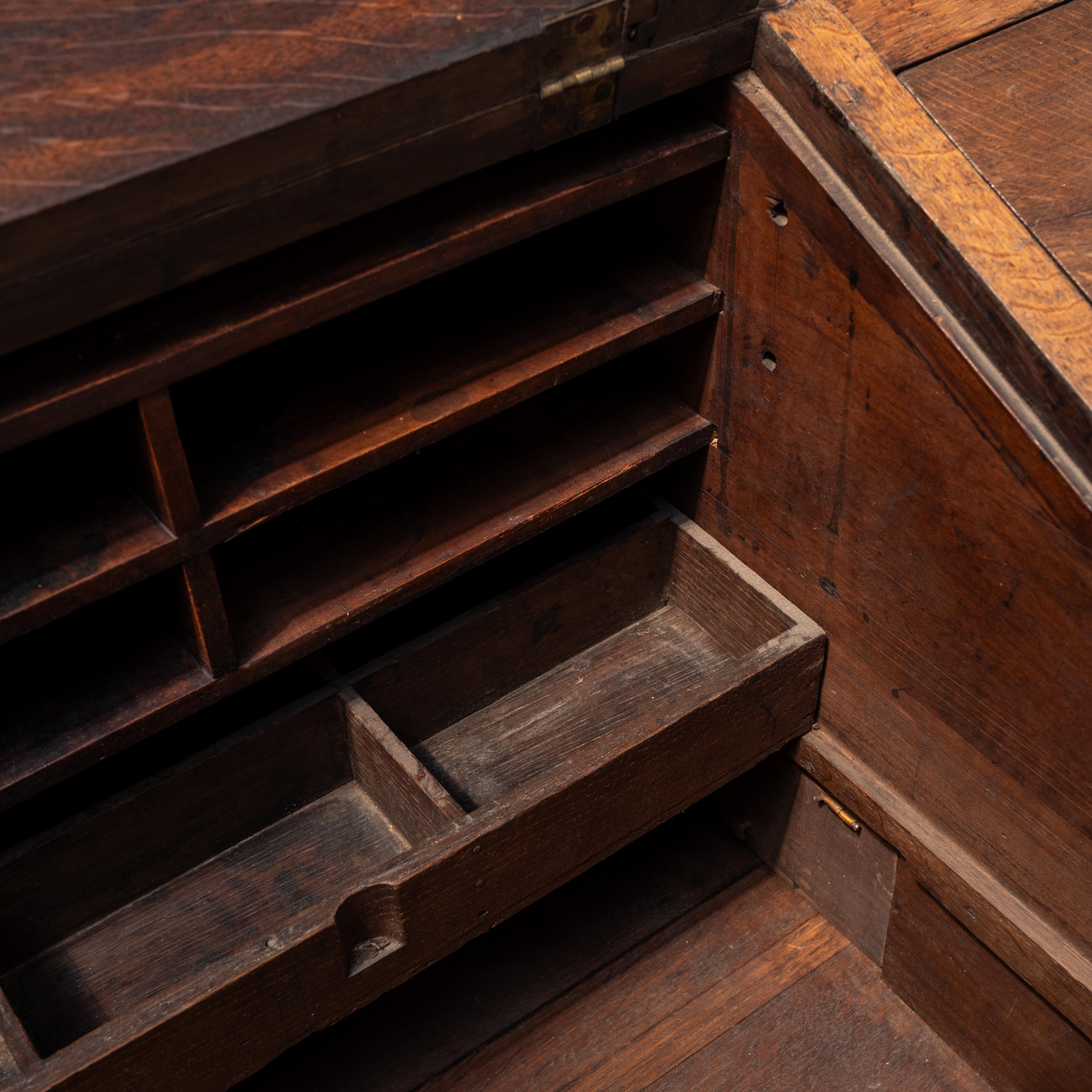Antique  Collector’s Chest, England, 20th Century For Sale 3