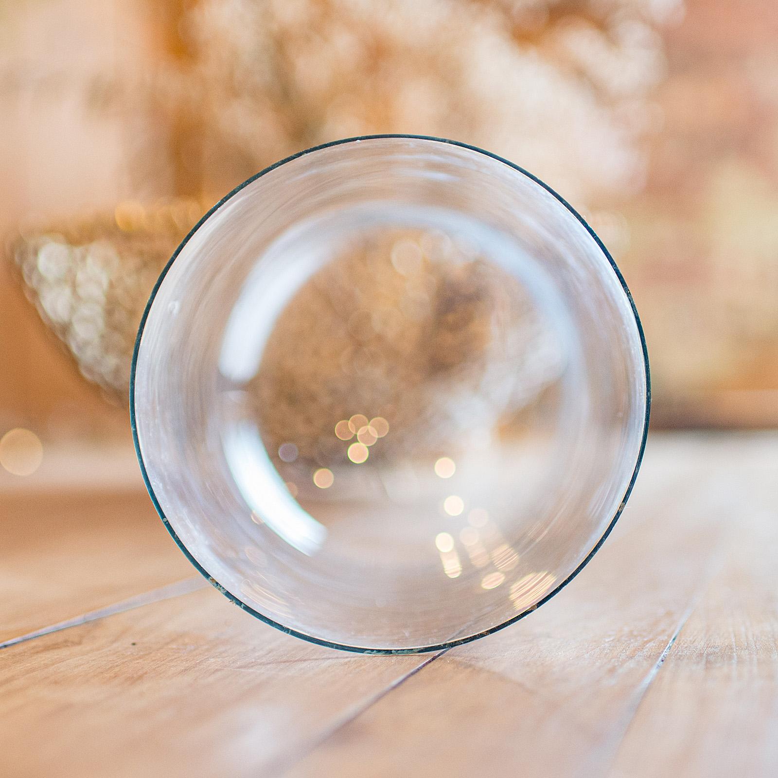 Antique Collector's Dome, English, Glass, Taxidermy, Botany, Showcase, Edwardian For Sale 2