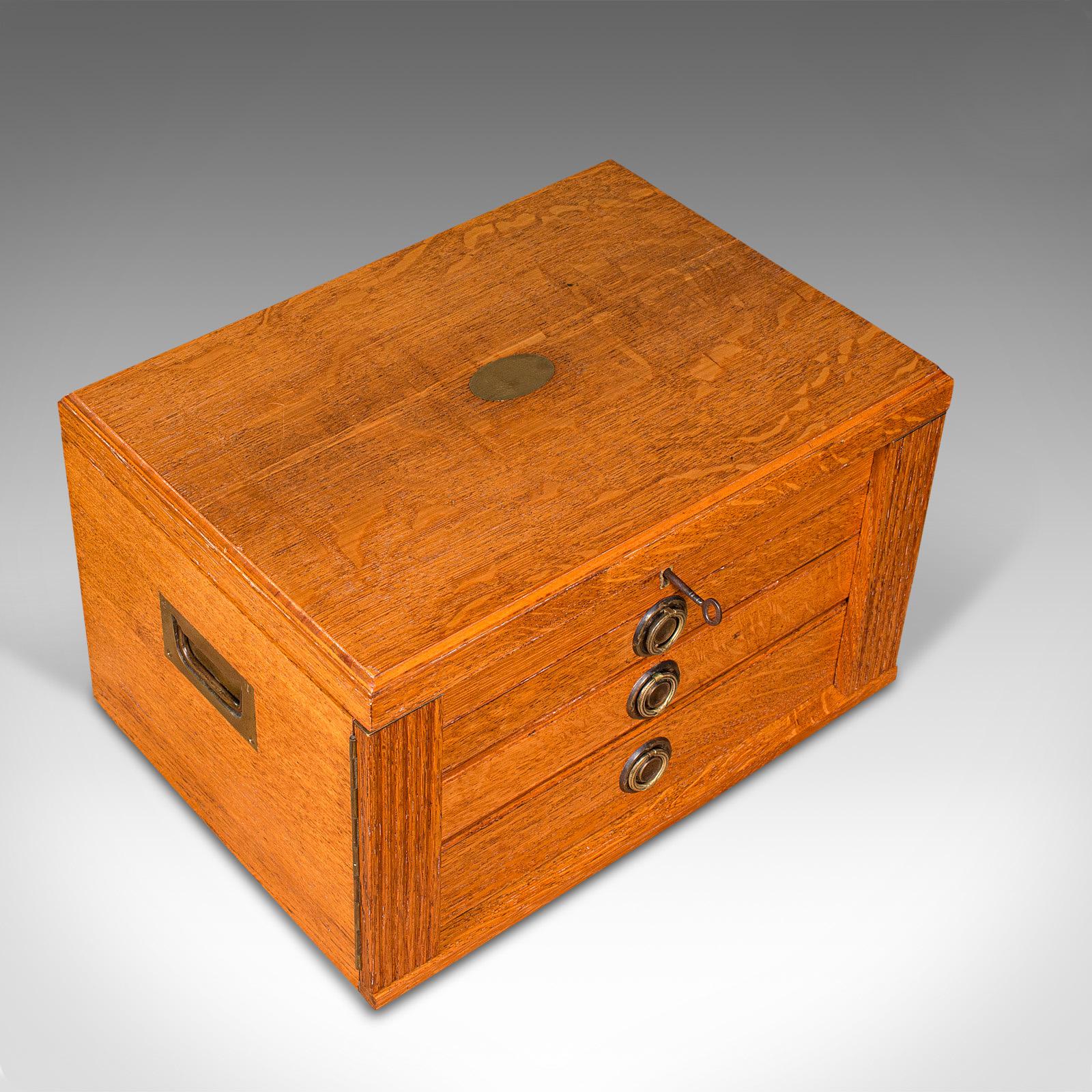 Antique Collector's Specimen Case, English, Oak, Chest, Jewellery Box, Edwardian 2