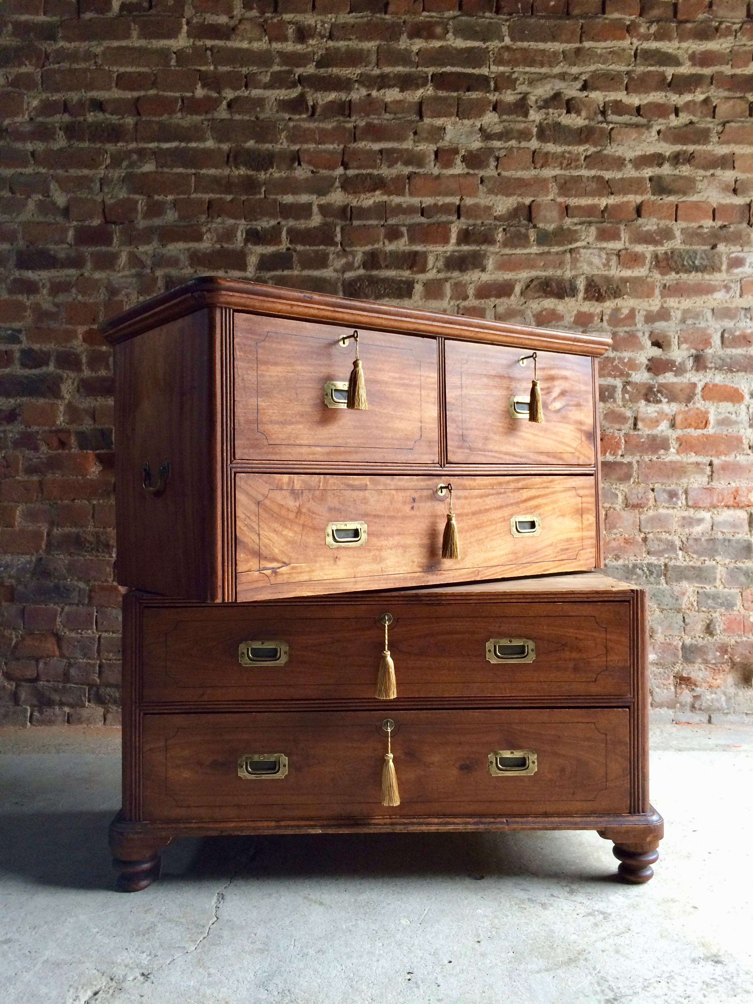Fabulous late 19th century Colonial camphorwood brass-mounted campaign chest of drawers, the rectangular top over two short and three longer graduated drawers, all fitted with campaign brass recessed handles and circular brass escutcheons, raised on