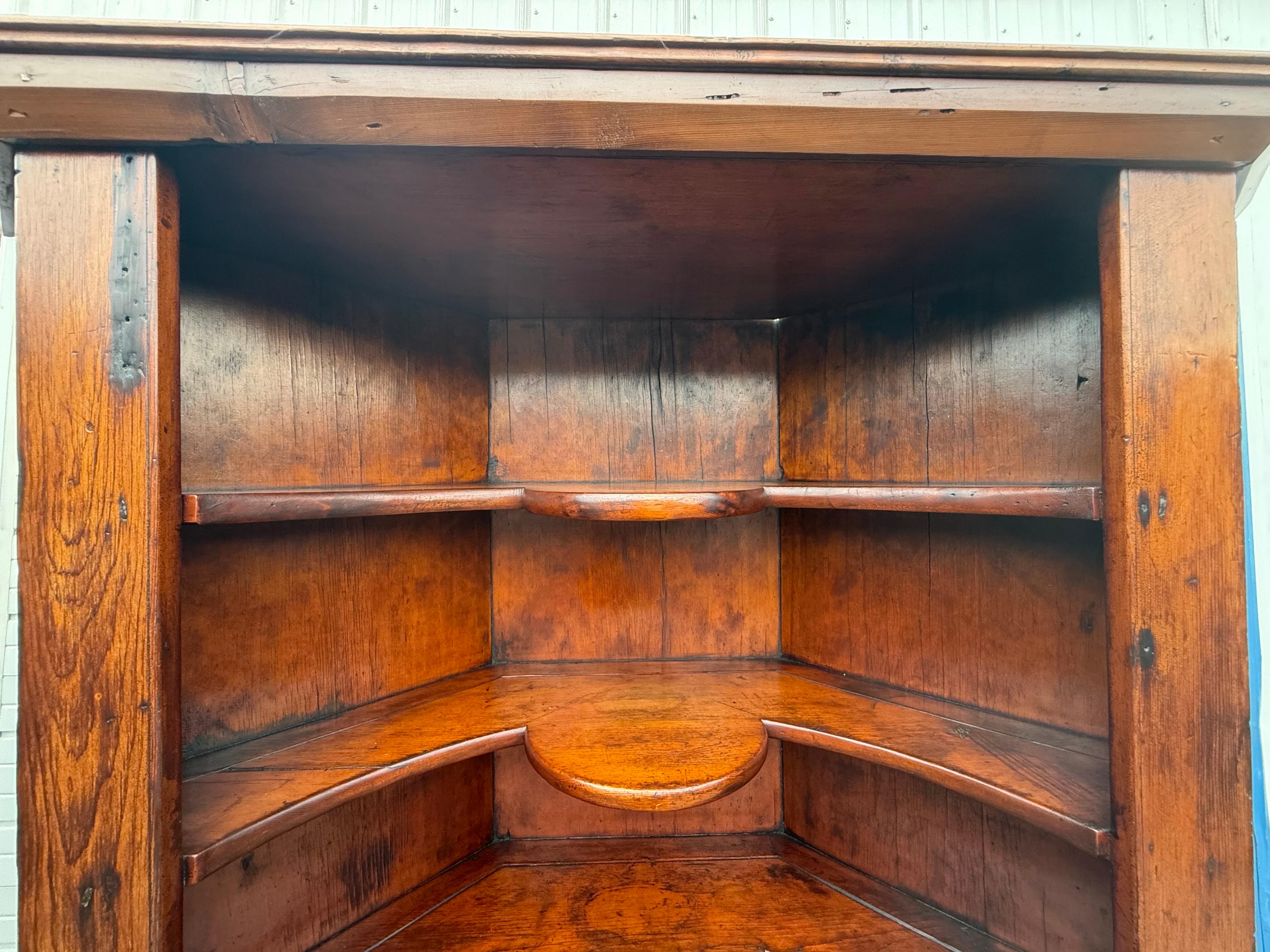 Antique Colonial Wormwood Pine Corner Cabinet Circa Early 1800's For Sale 1