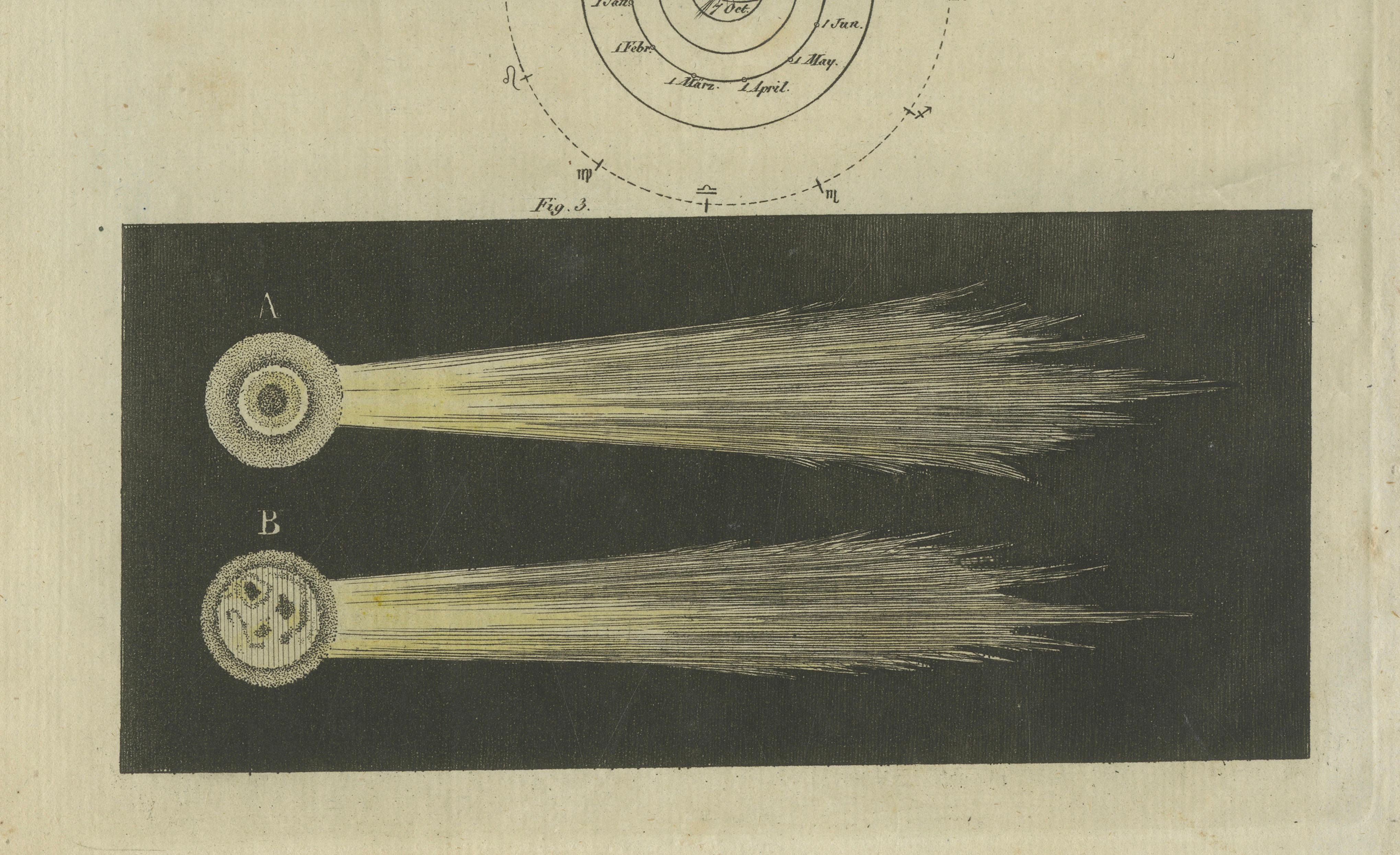 Antique Comets with Tails Engraving, Bertuch Bilderbuch Weimar, 1807