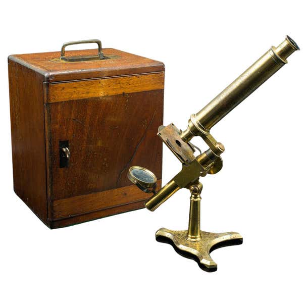 Antique Compound Microscope, English, Instrument, Negretti and Zambra ...