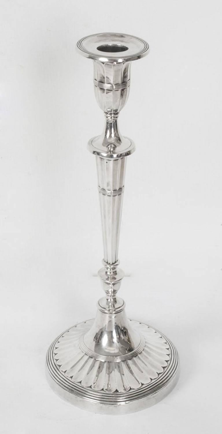 Antique Comprising Pair of Candelabra and Candlesticks, 19th Century 6