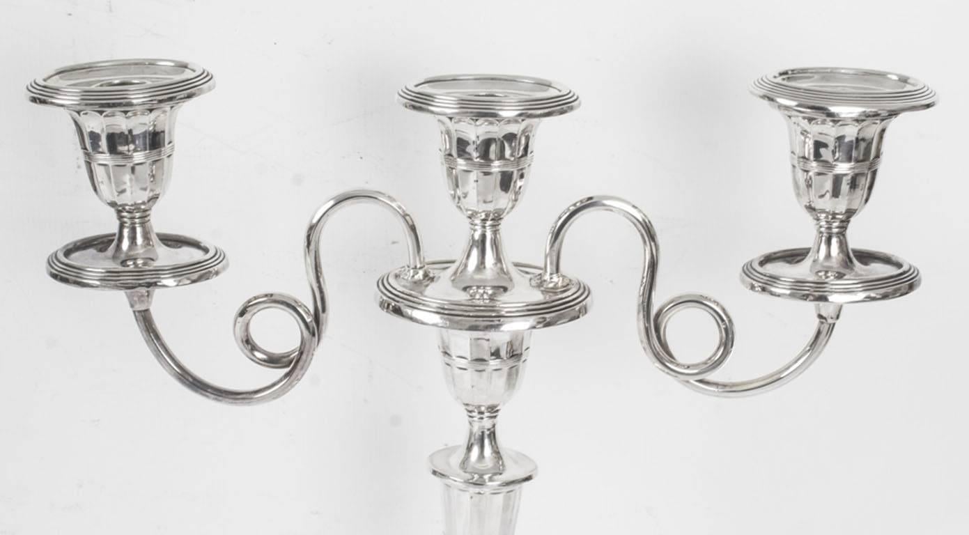 English Antique Comprising Pair of Candelabra and Candlesticks, 19th Century